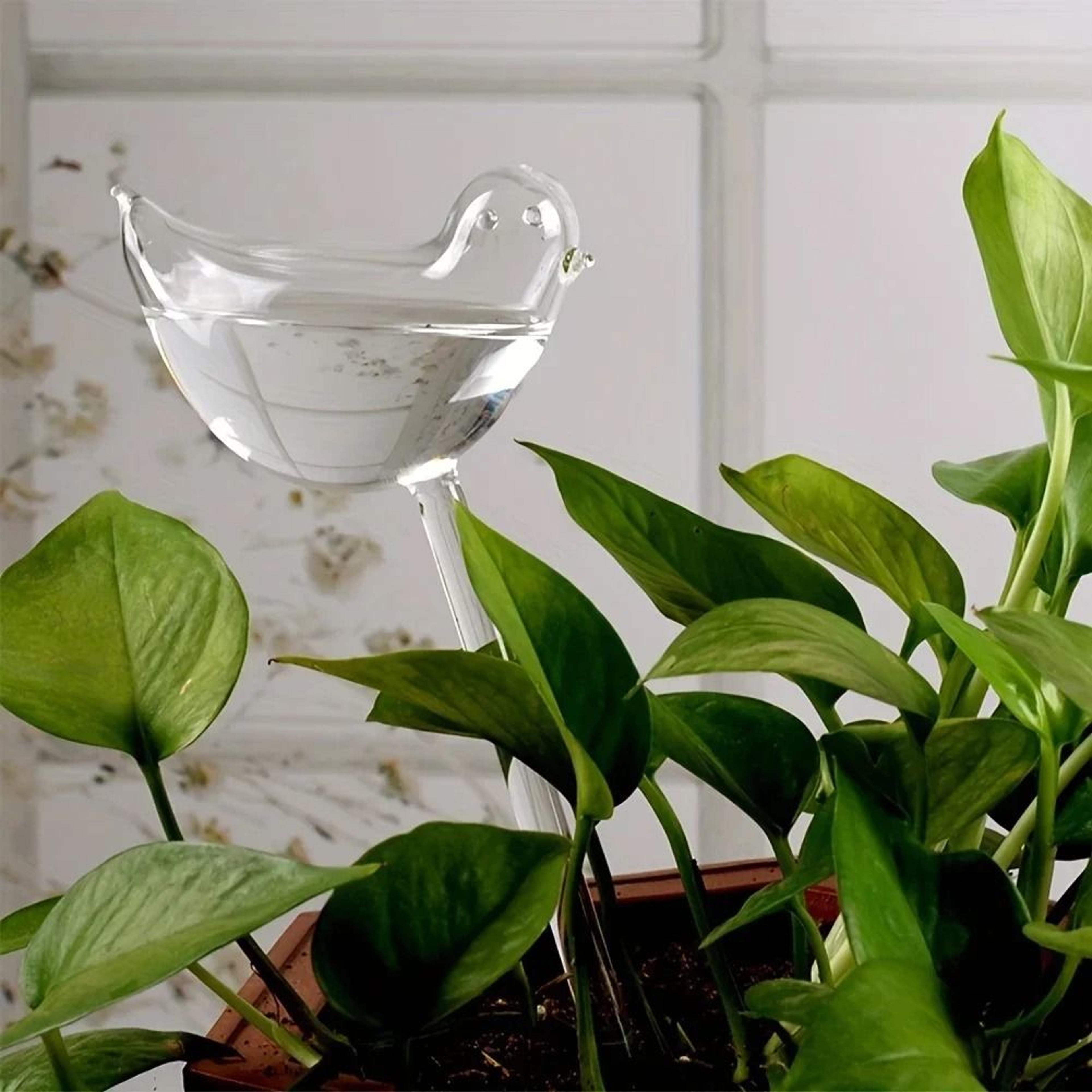 Bird Shape Automatic Plant Waterer And Self Watering Spikes 6