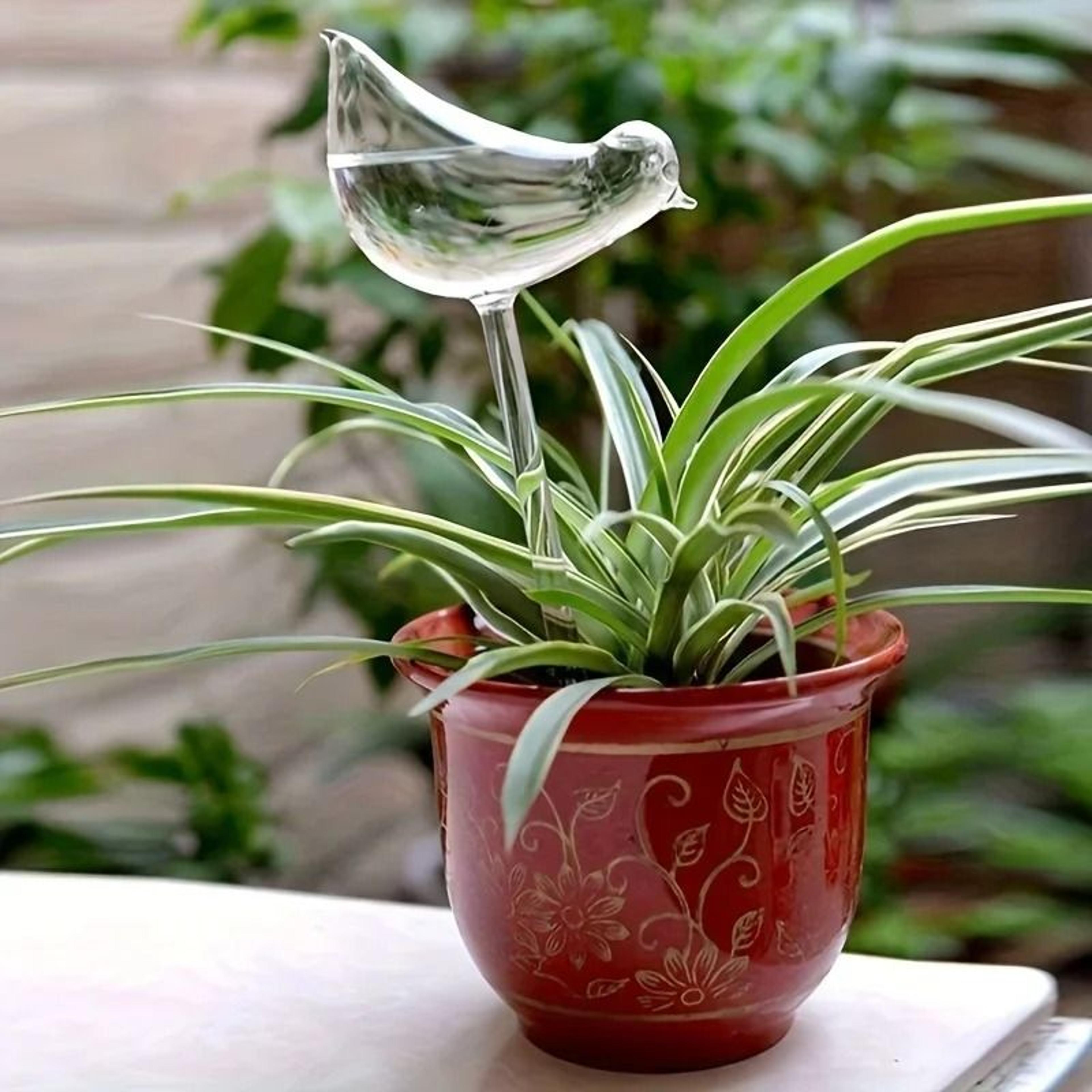 Bird Shape Automatic Plant Waterer And Self Watering Spikes 7