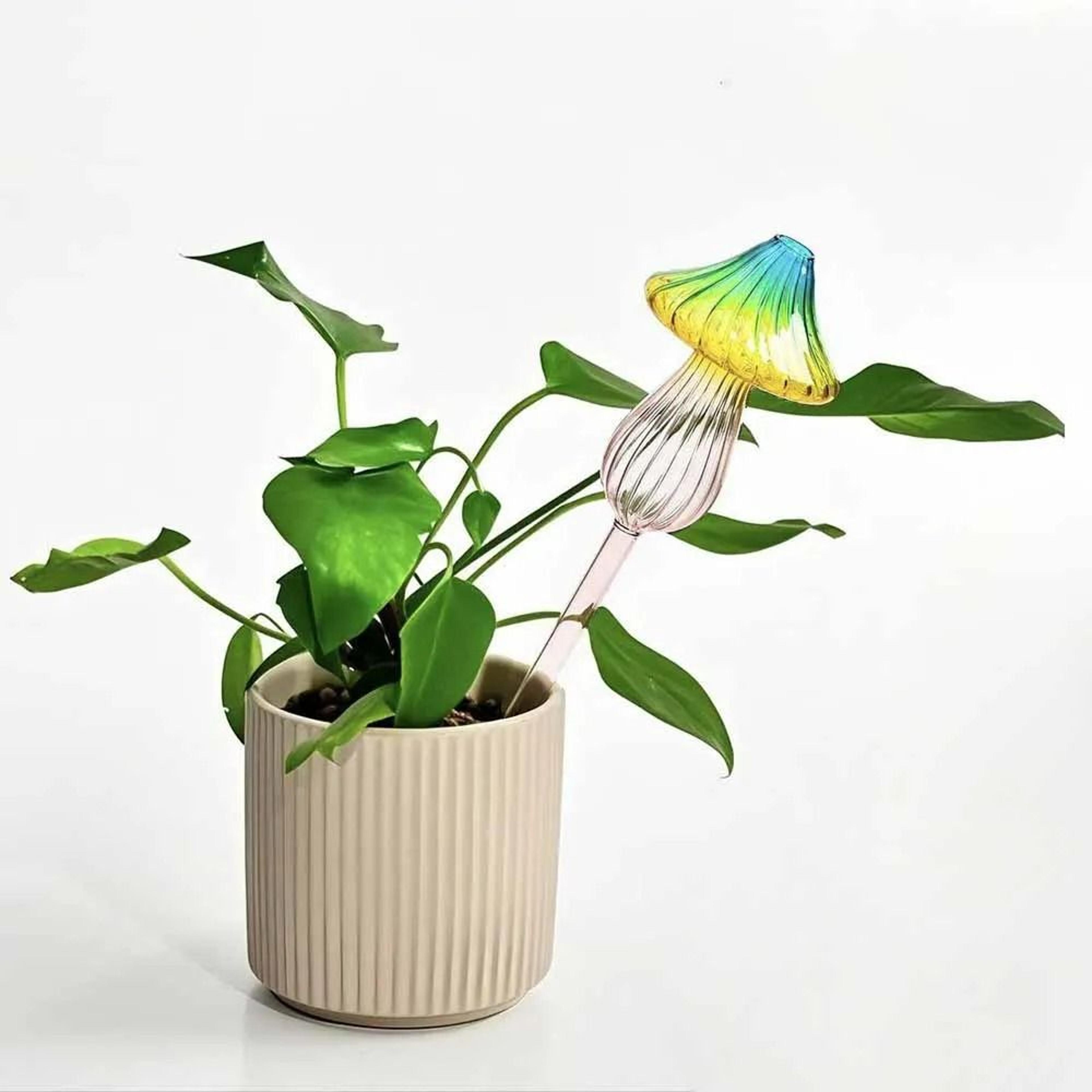 Decorative Glass Self Watering Bulbs For Indoor Outdoor Potted Flower Plants Care 5