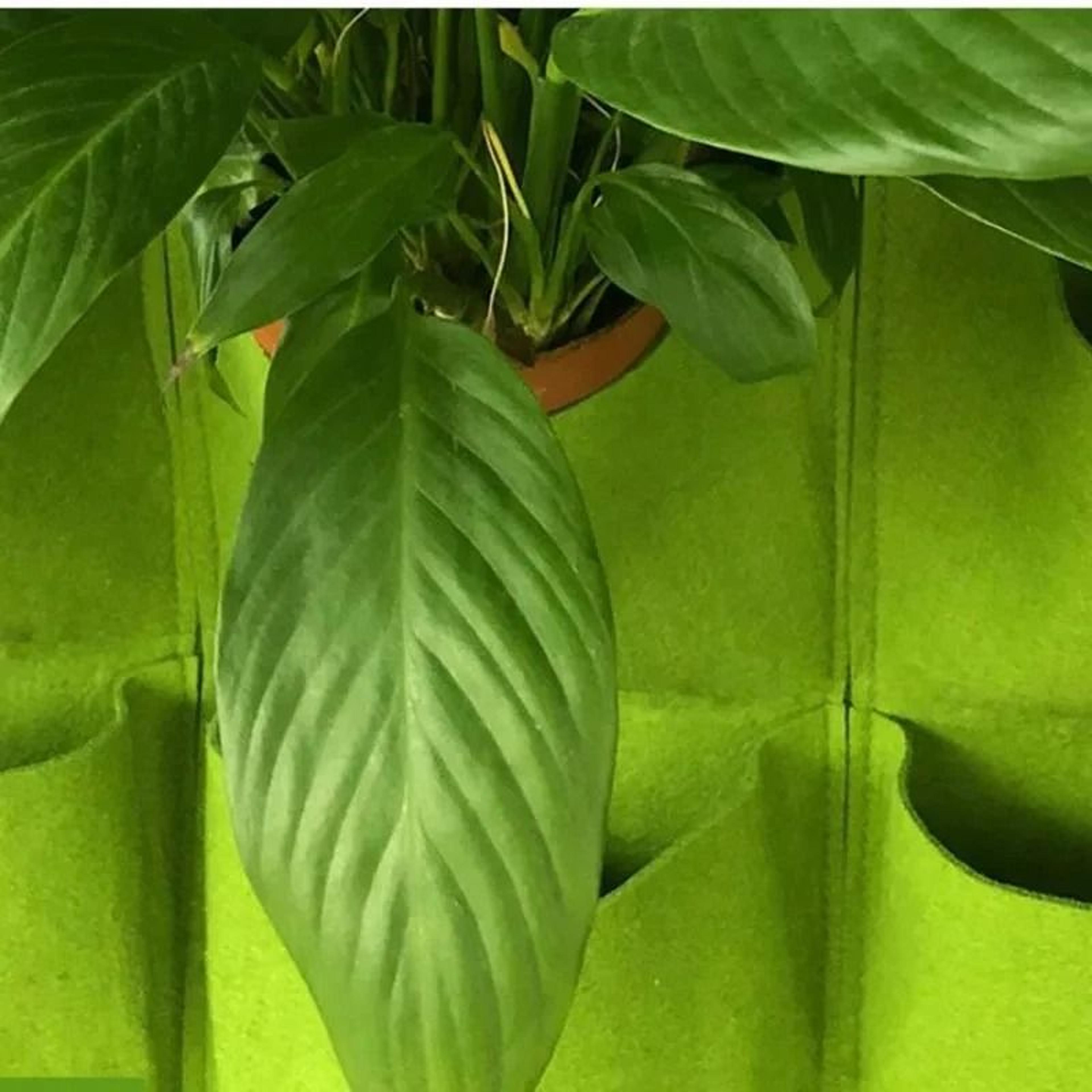 Multi Pocket Wall Hanging Planter Bag For Herbs Flowers And Vertical Gardens 15