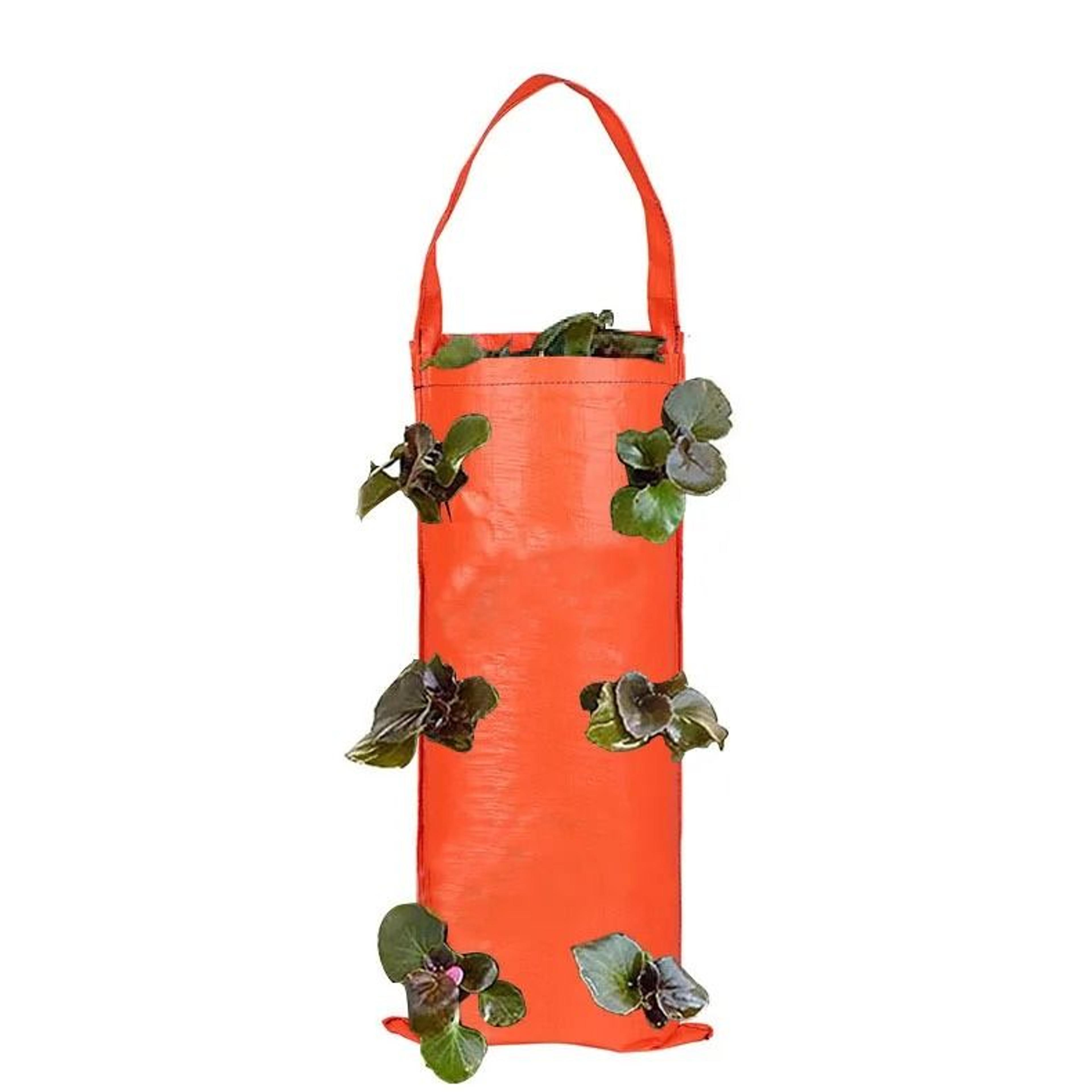 Hanging Strawberry Grow Bag For Upside Down Tomato Vegetable And Flower Gardening 5