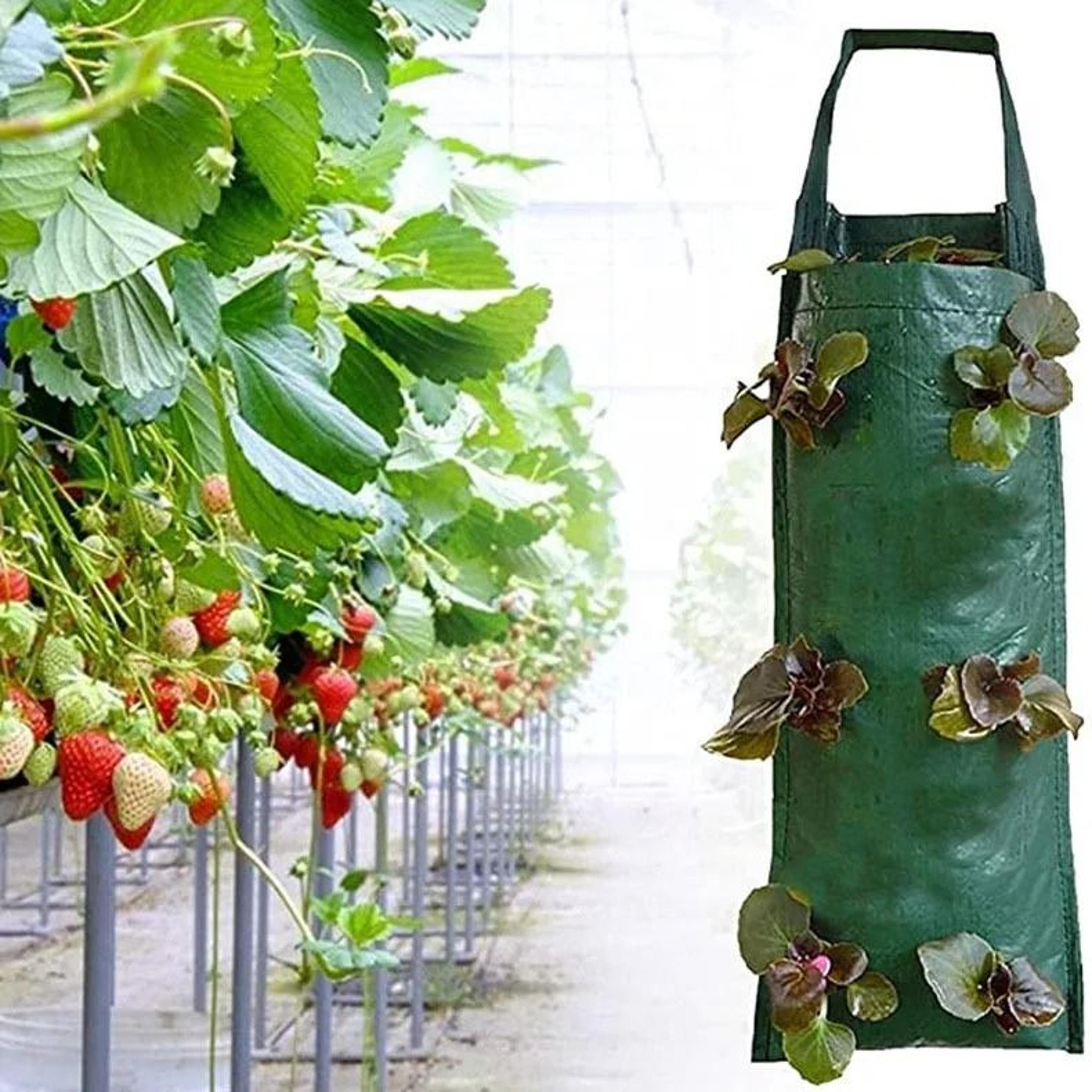 Hanging Strawberry Grow Bag For Upside Down Tomato Vegetable And Flower Gardening 8