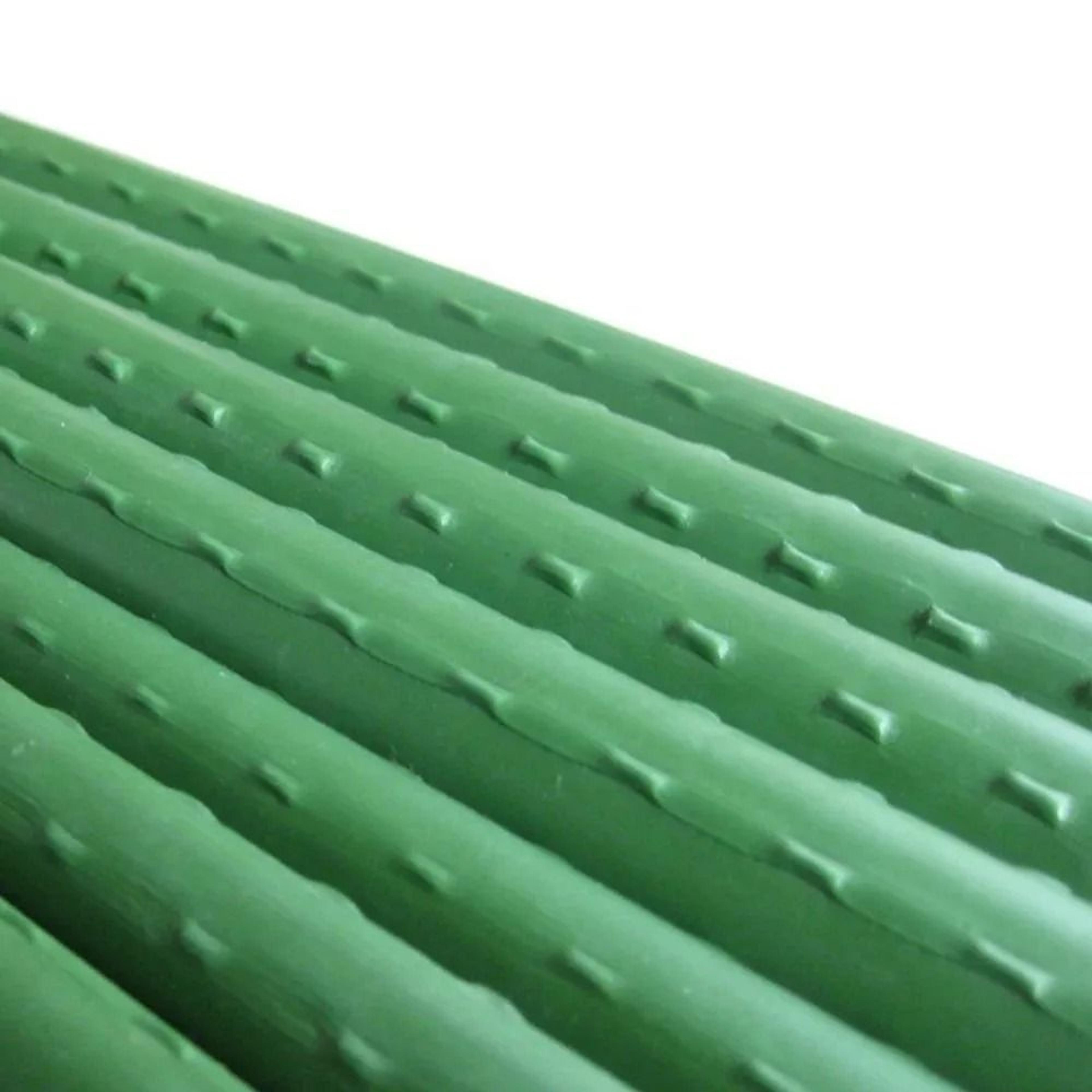Plastic Coated Steel Plant Support Stakes For Climbing Flowers Fruits And Vegetables 4
