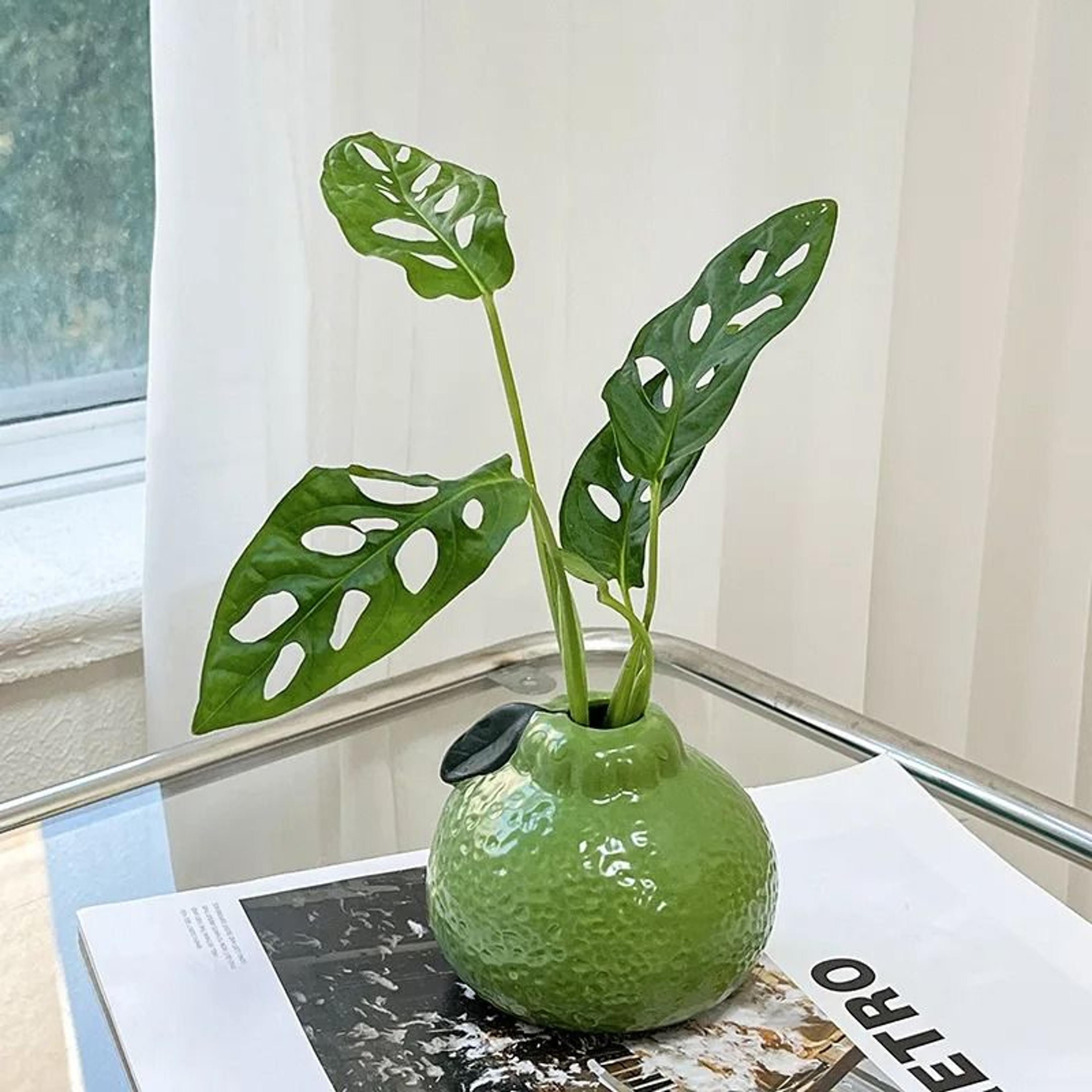 Green Orange Fruit Shape Ceramic Vase For Modern Tabletop Home Decor 5