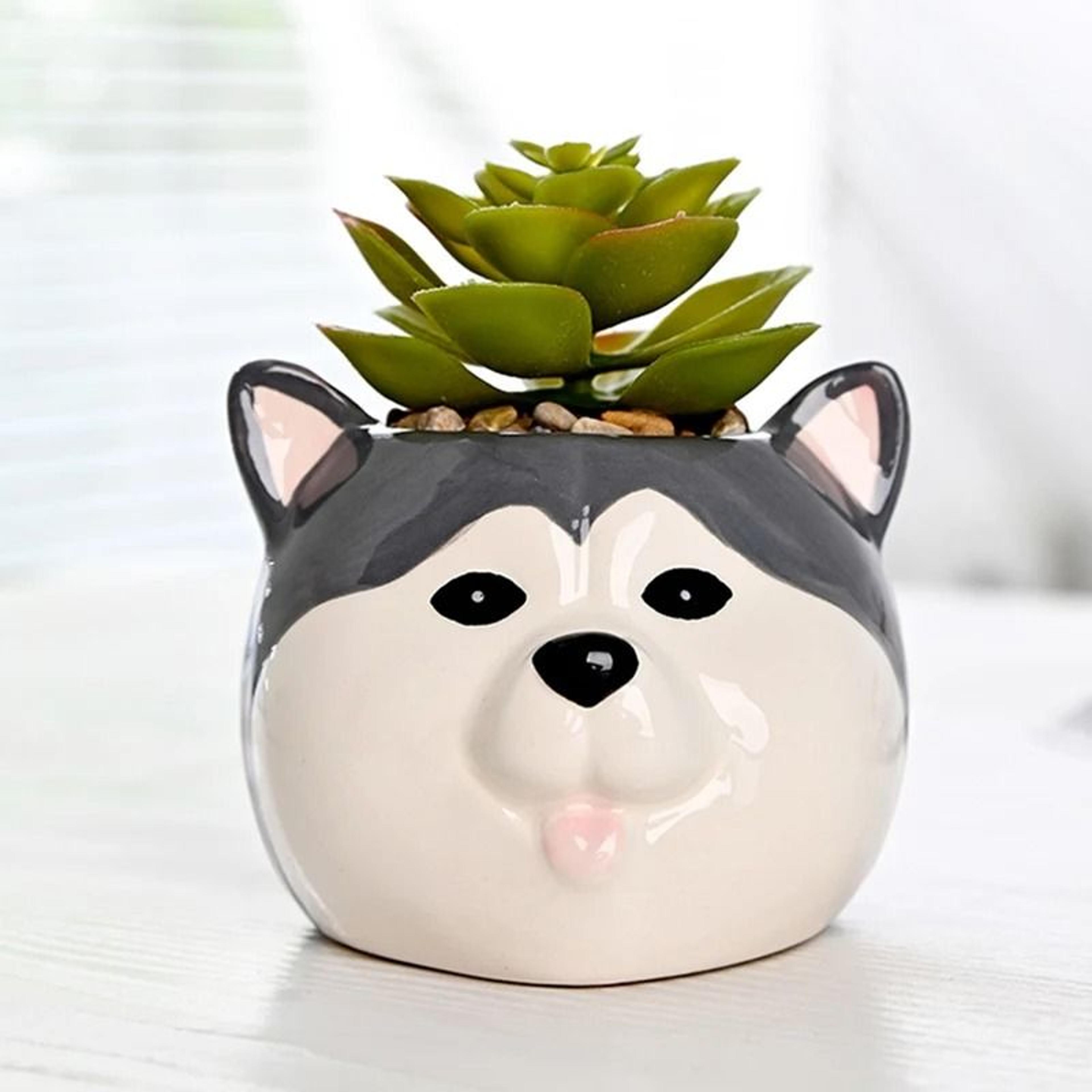 Cute Ceramic Animal Succulent Planter For Home Office Table Garden Decoration Display 4