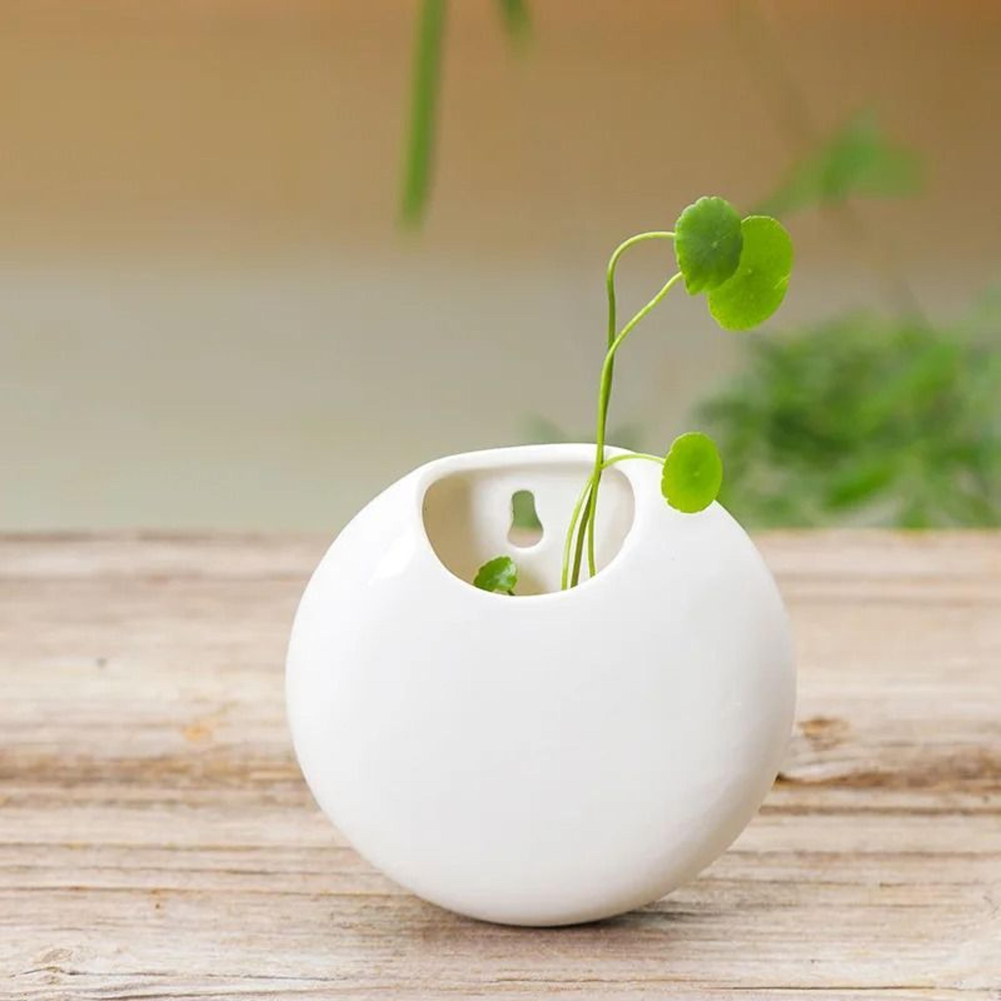 Retro Black And White Wall Mounted Ceramic Planter 3