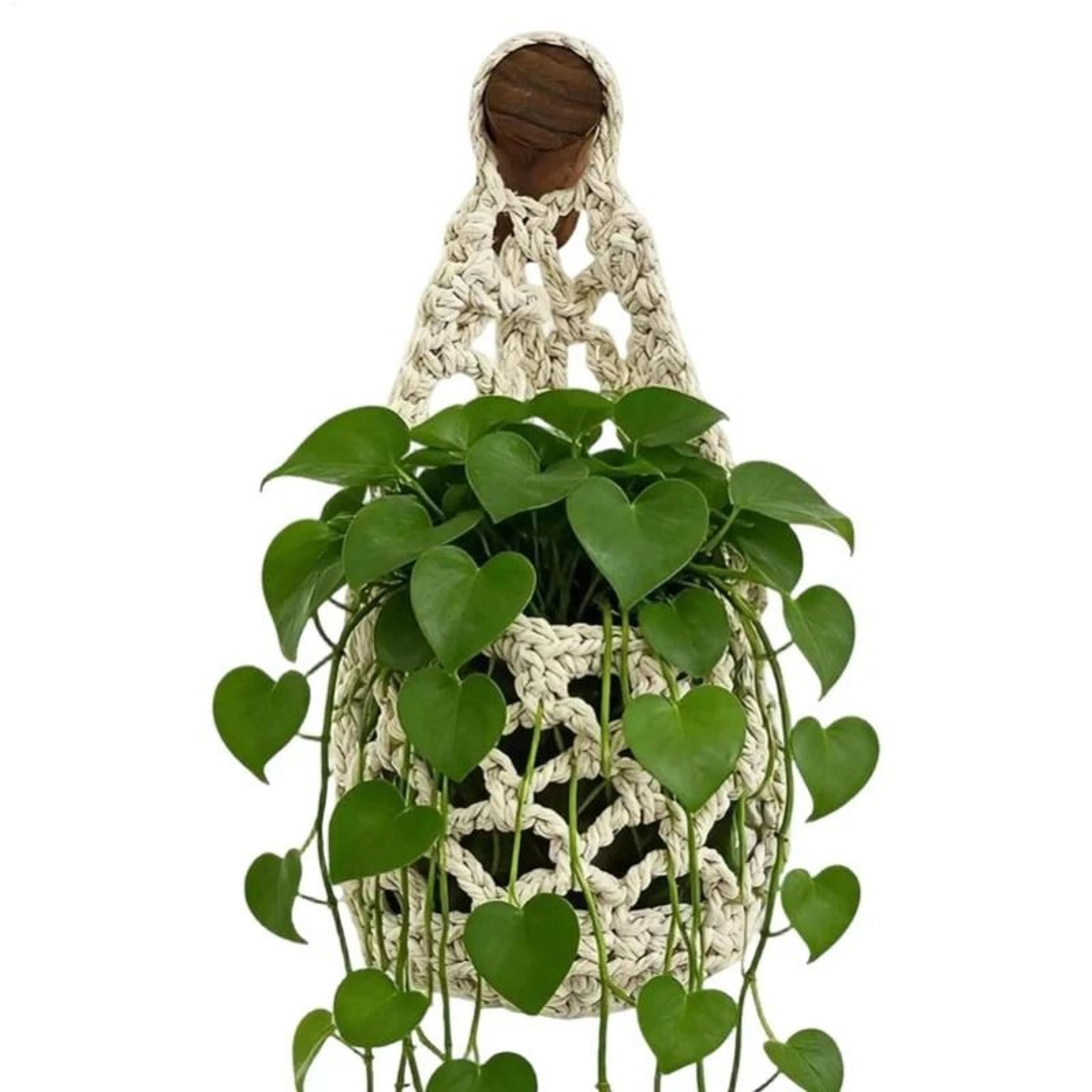 Boho Macrame Plant Hanger And Woven Hanging Storage Basket 3
