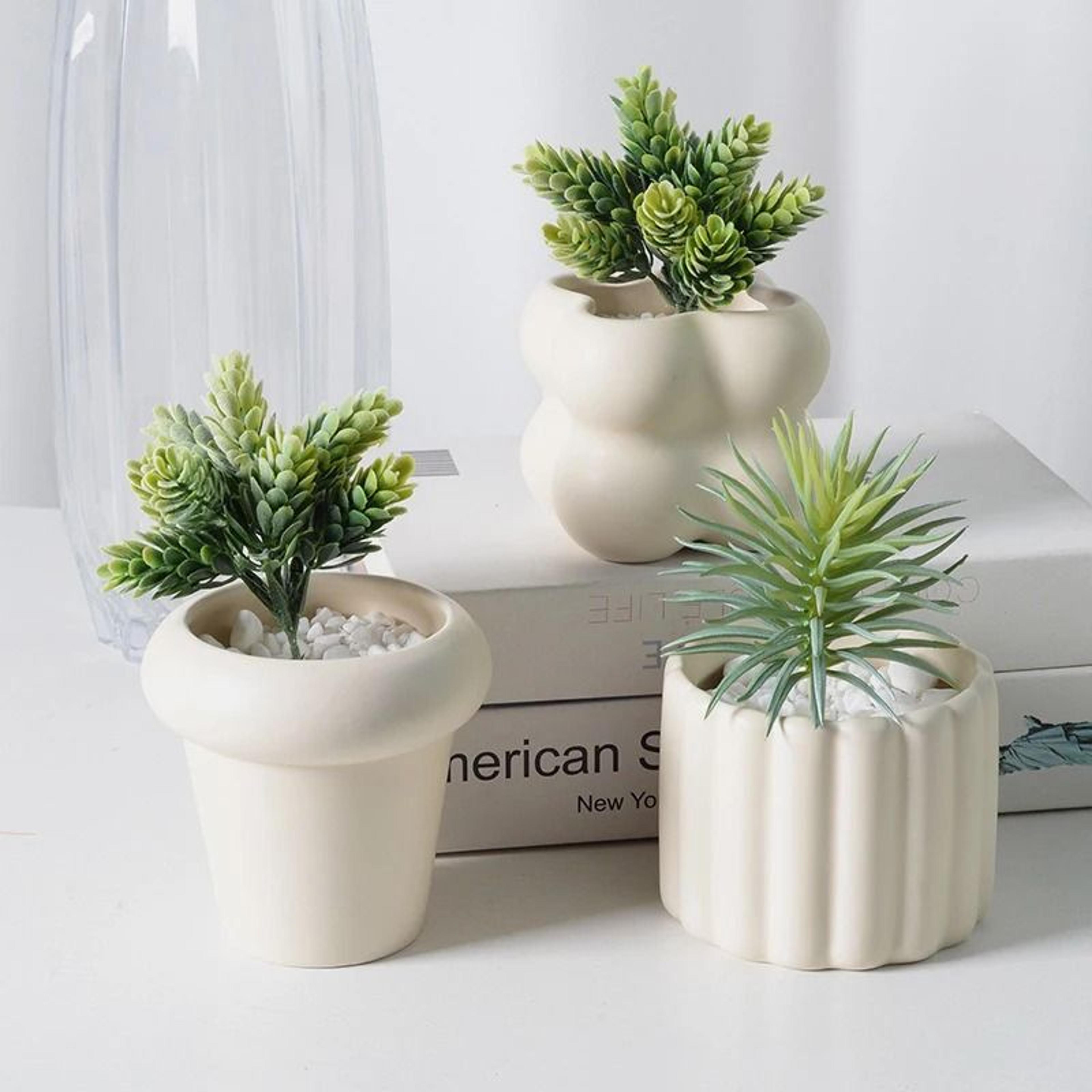 Elegant Ceramic Succulent And Bonsai Planter 4