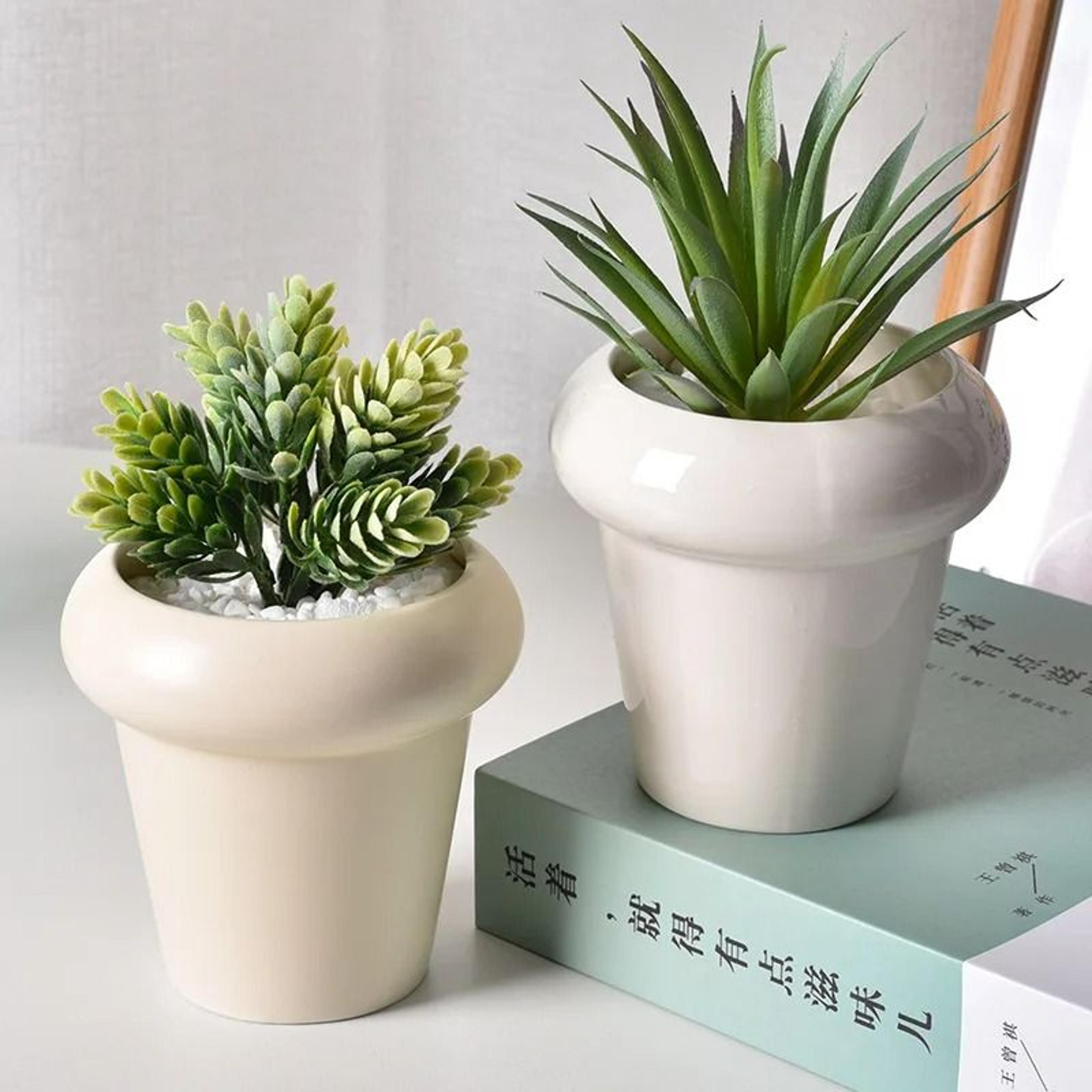 Elegant Ceramic Succulent And Bonsai Planter 7