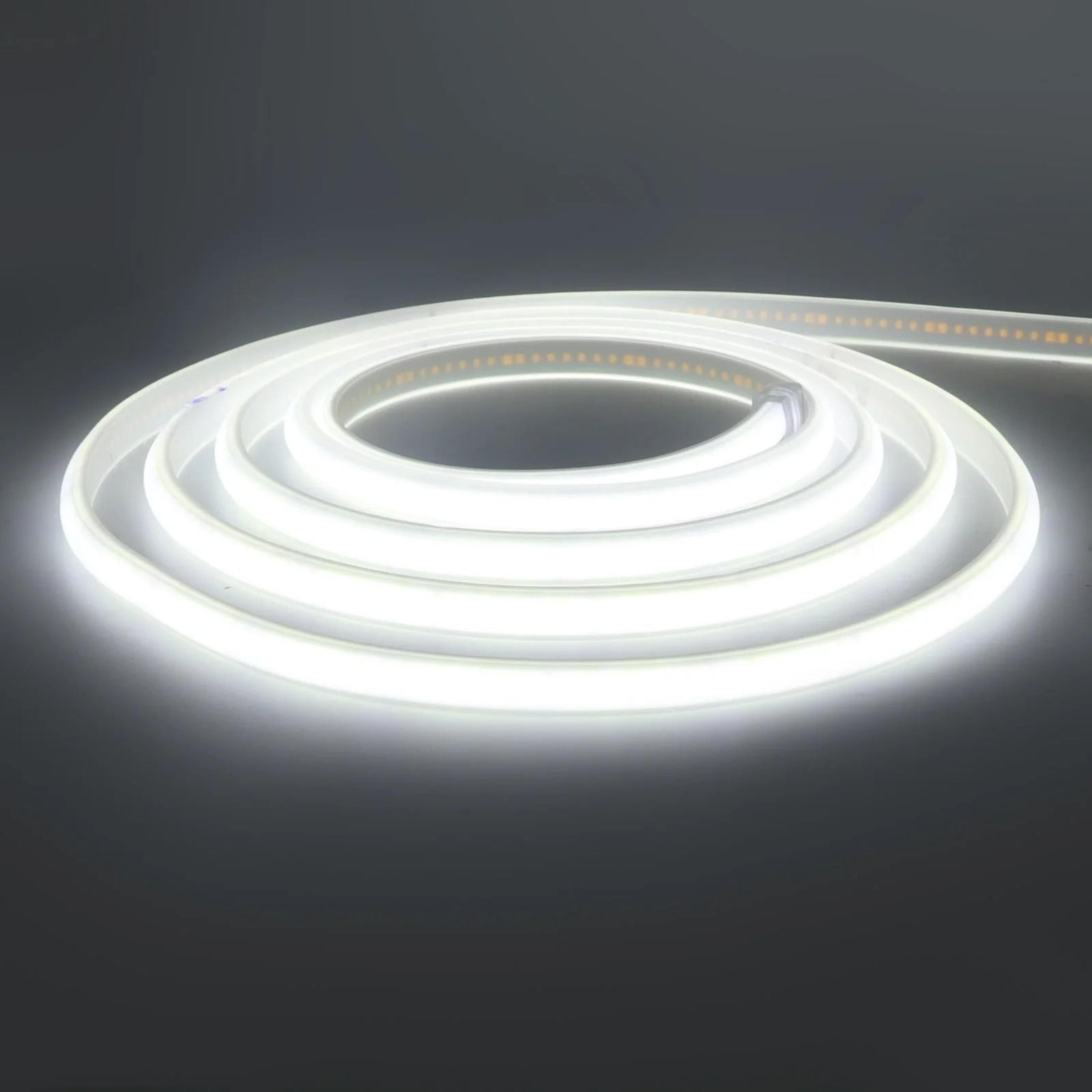 220V Waterproof COB LED Strip Flexible Neon Ribbon Light 2