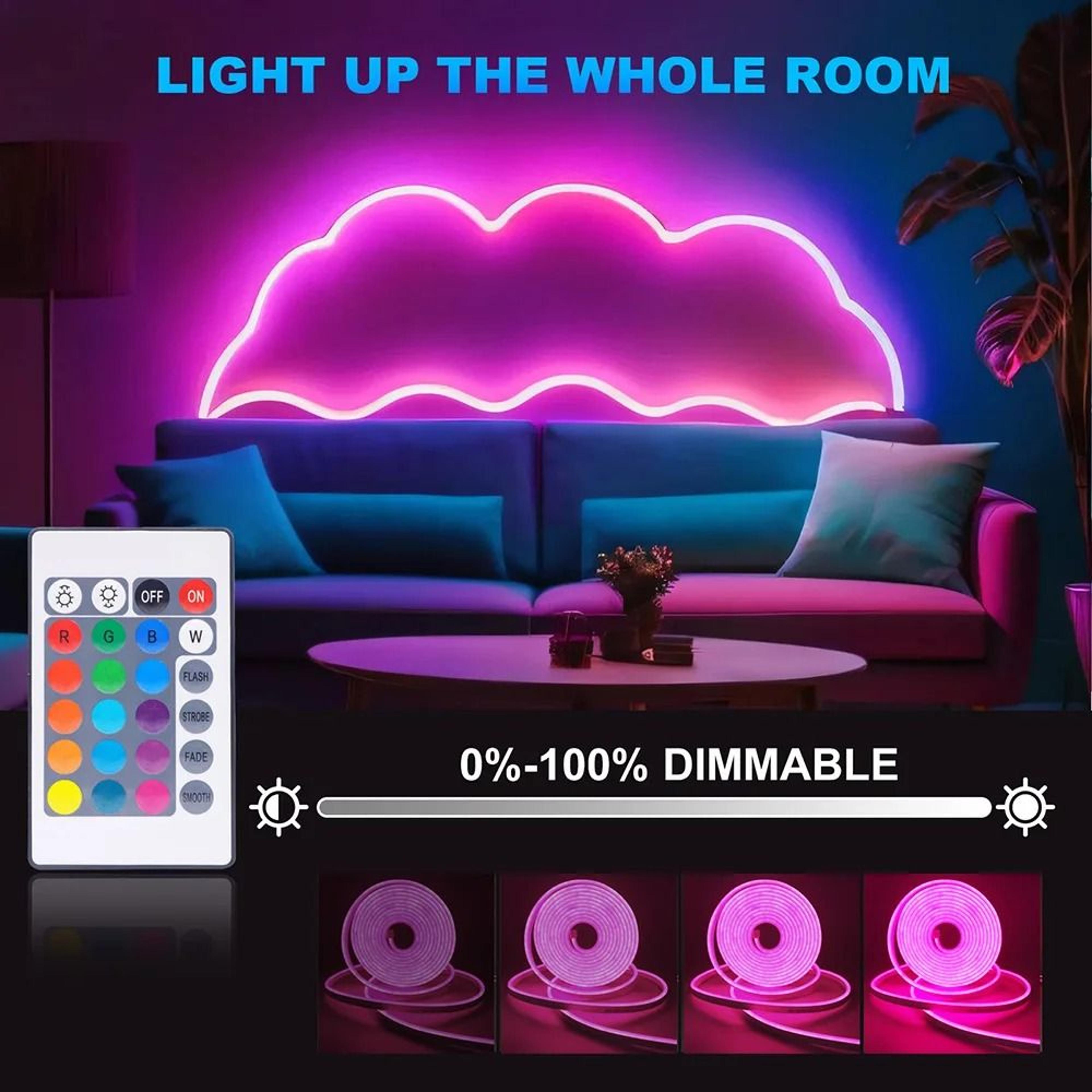 5V USB RGB LED Neon Strip Light With 24Key Remote 5