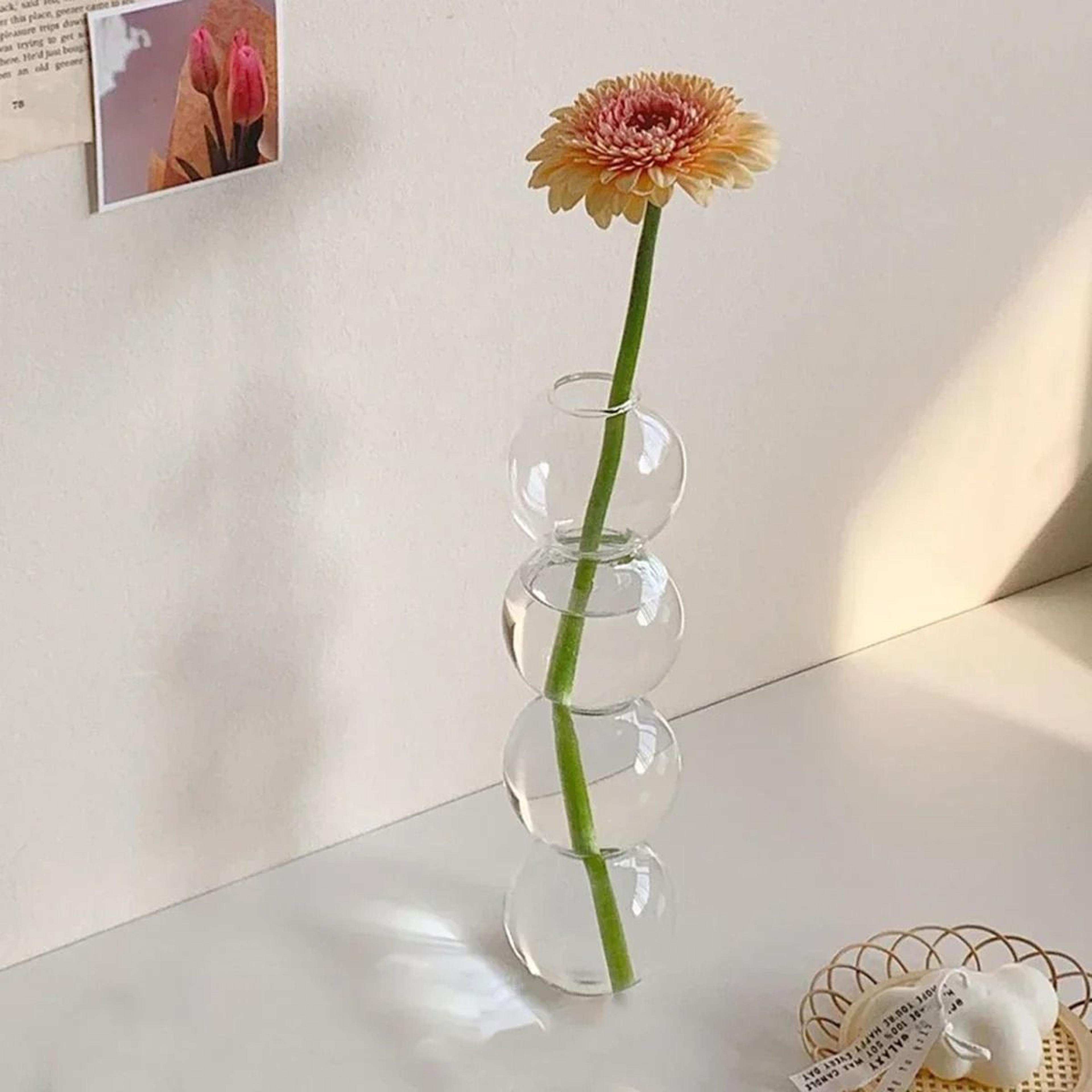 Colorful Glass Bubble Vase Creative Transparent Flower Holder For Modern Home Decor 3