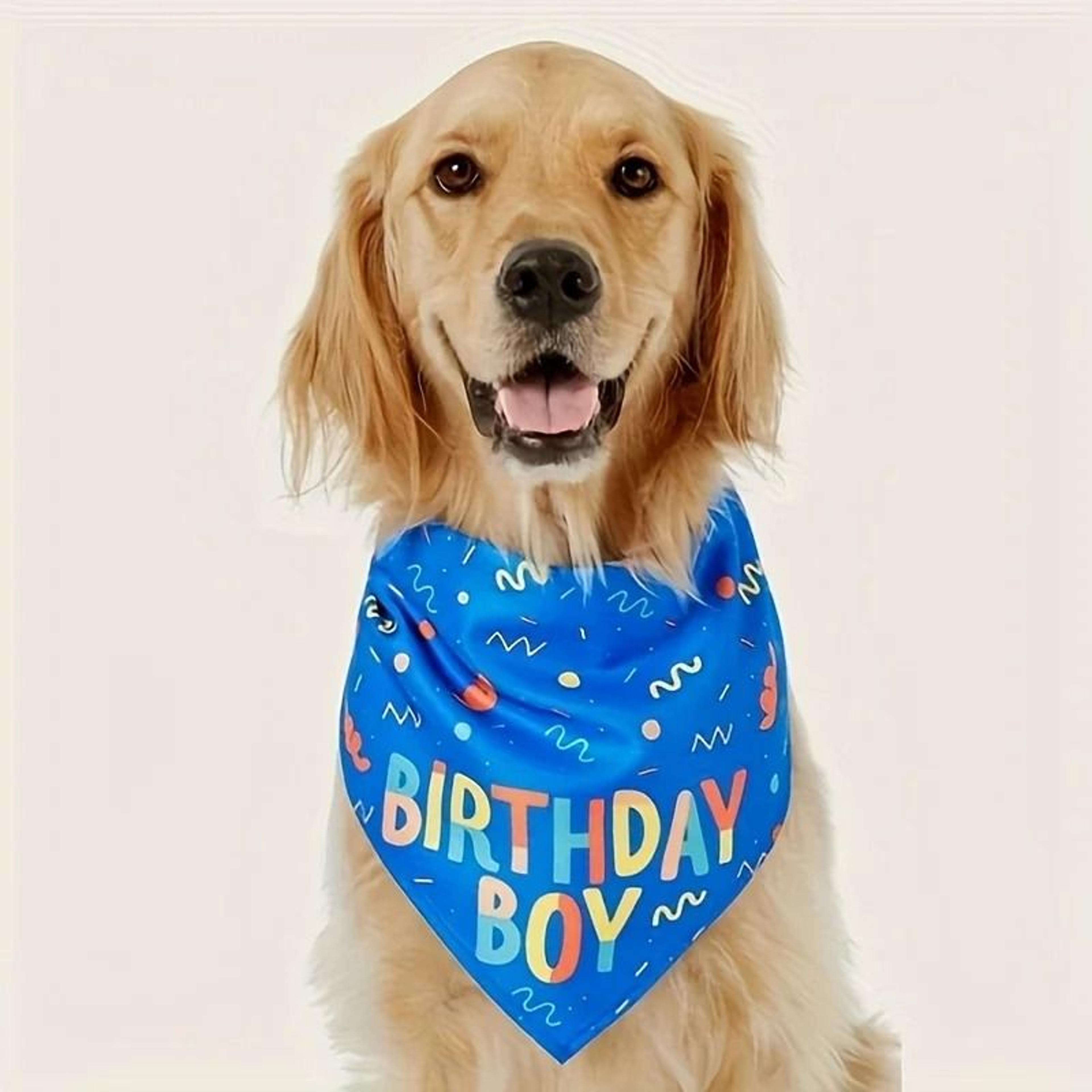 Cute Dog Birthday Bandana Bib Birthday Boy Girl Pet Party Scarf 4