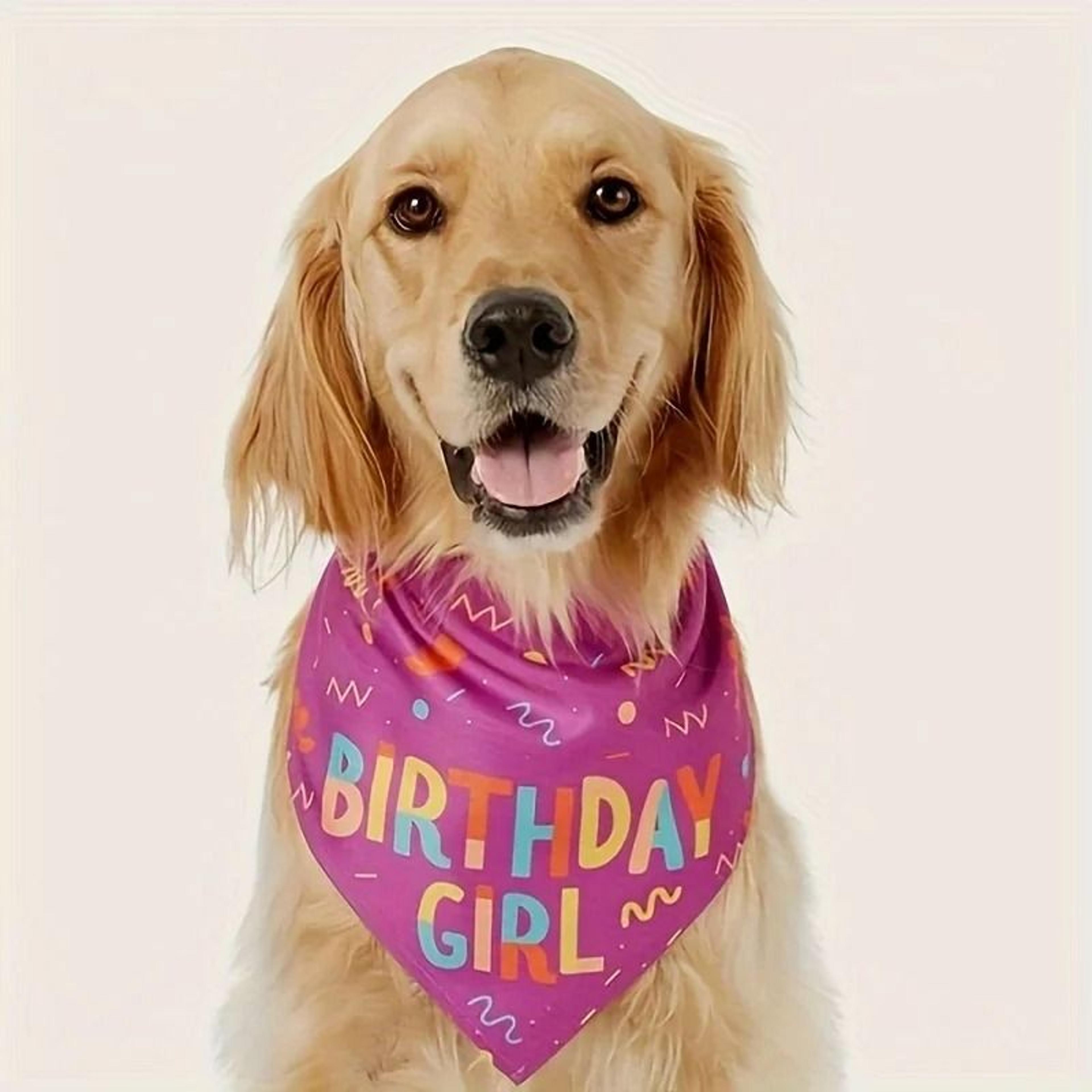Cute Dog Birthday Bandana Bib Birthday Boy Girl Pet Party Scarf 2