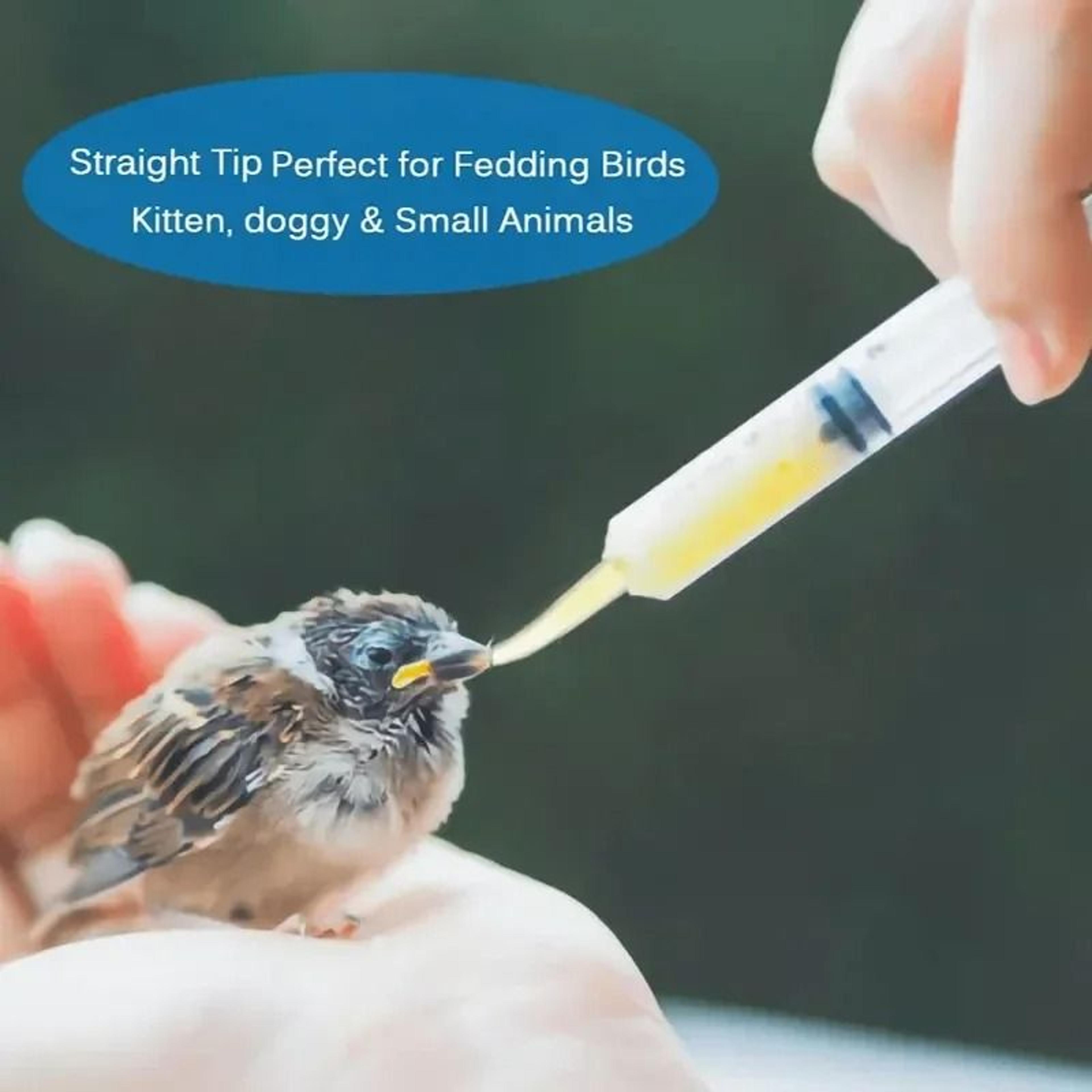 12ml Needleless Plastic Syringe For Precise Liquid Dispensing Glue Oil And Crafts 4