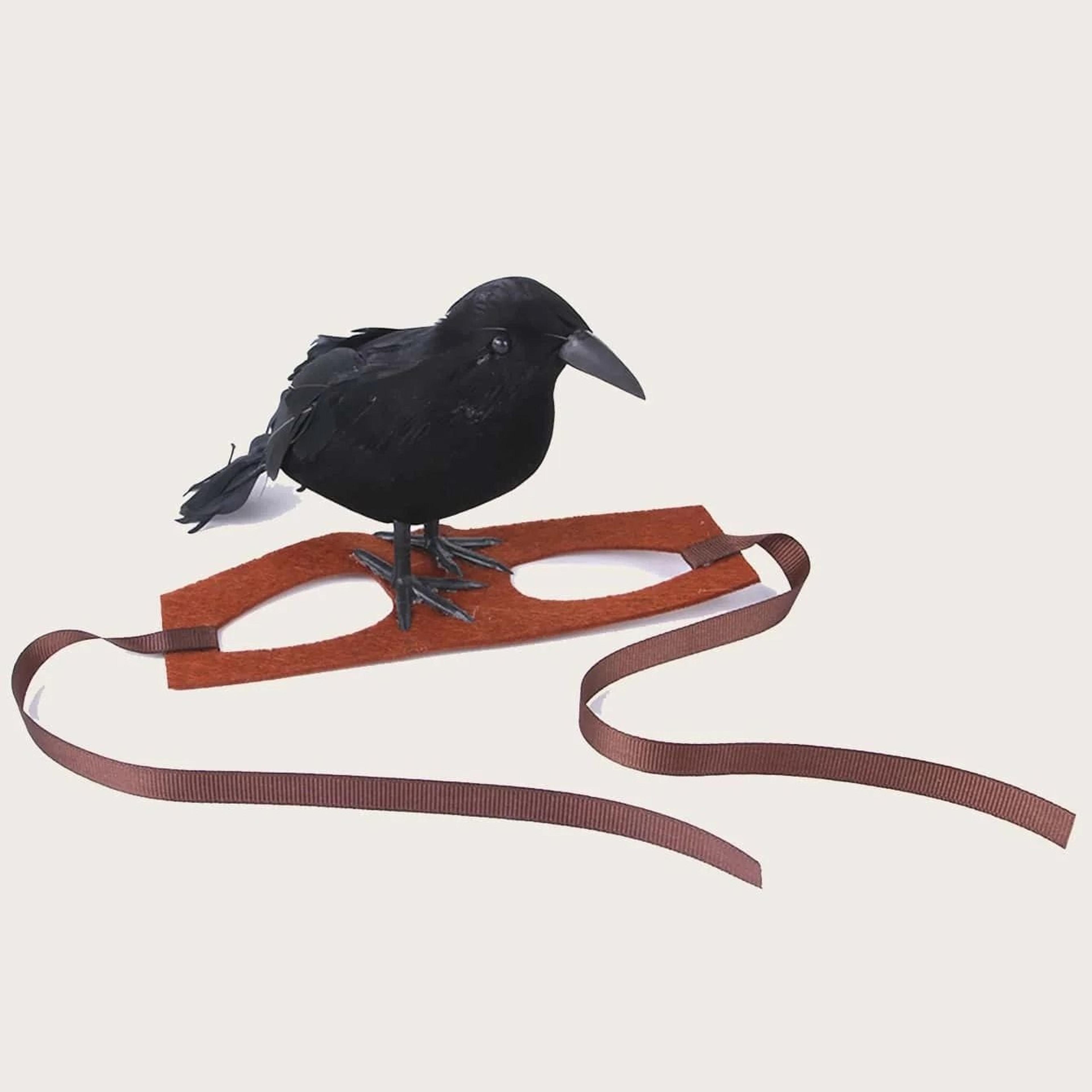 halloween crow pet hat cute bird costume headwear for cats and dogs