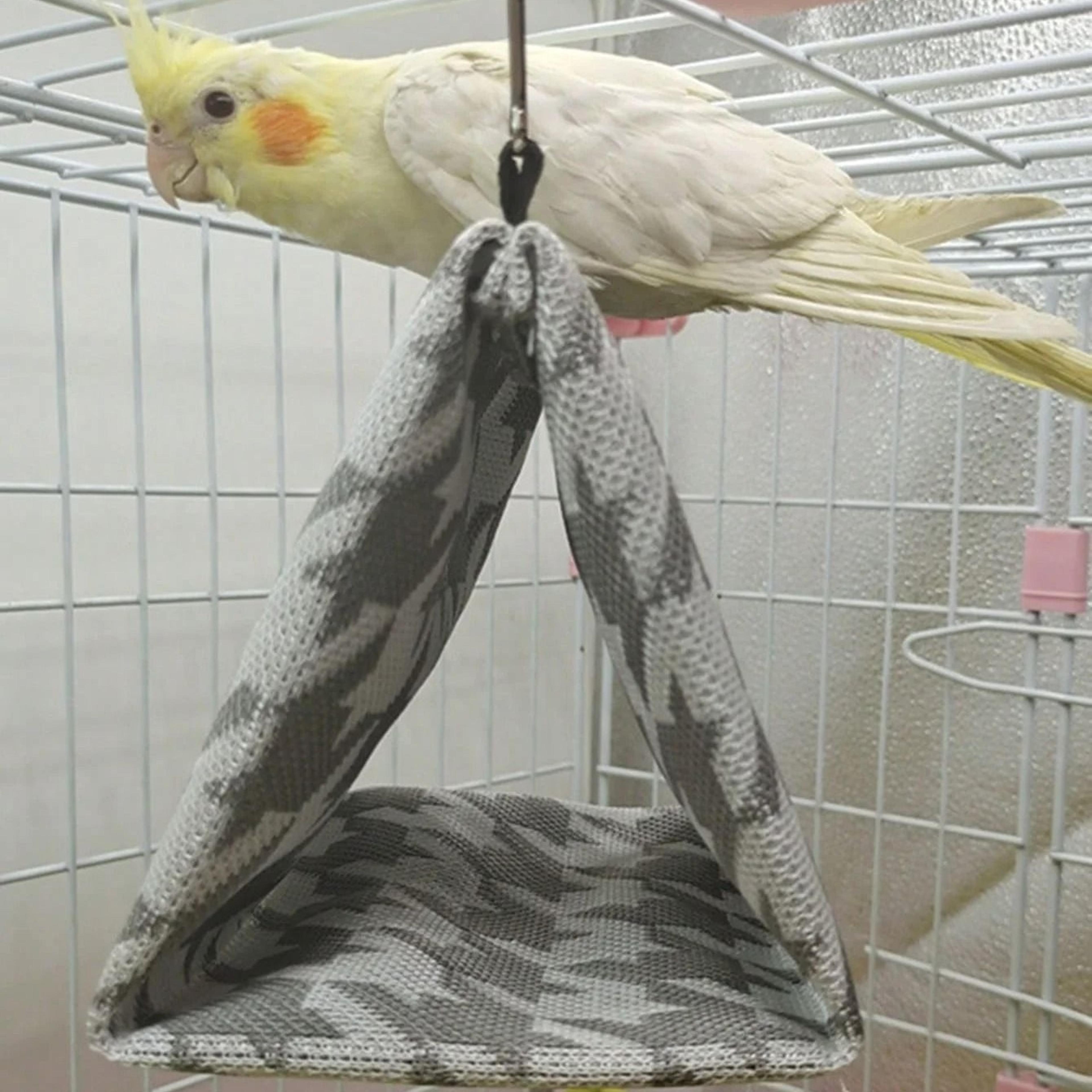 imagejpg
