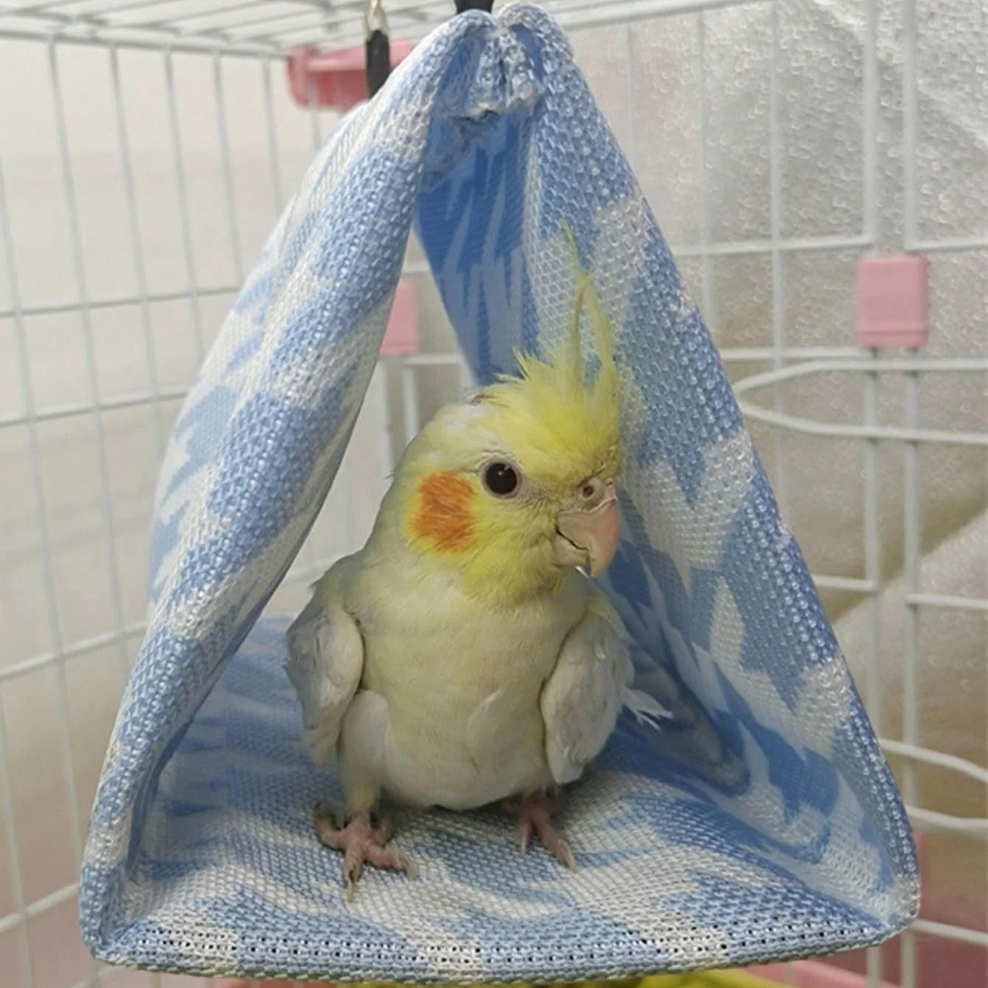 imagejpg