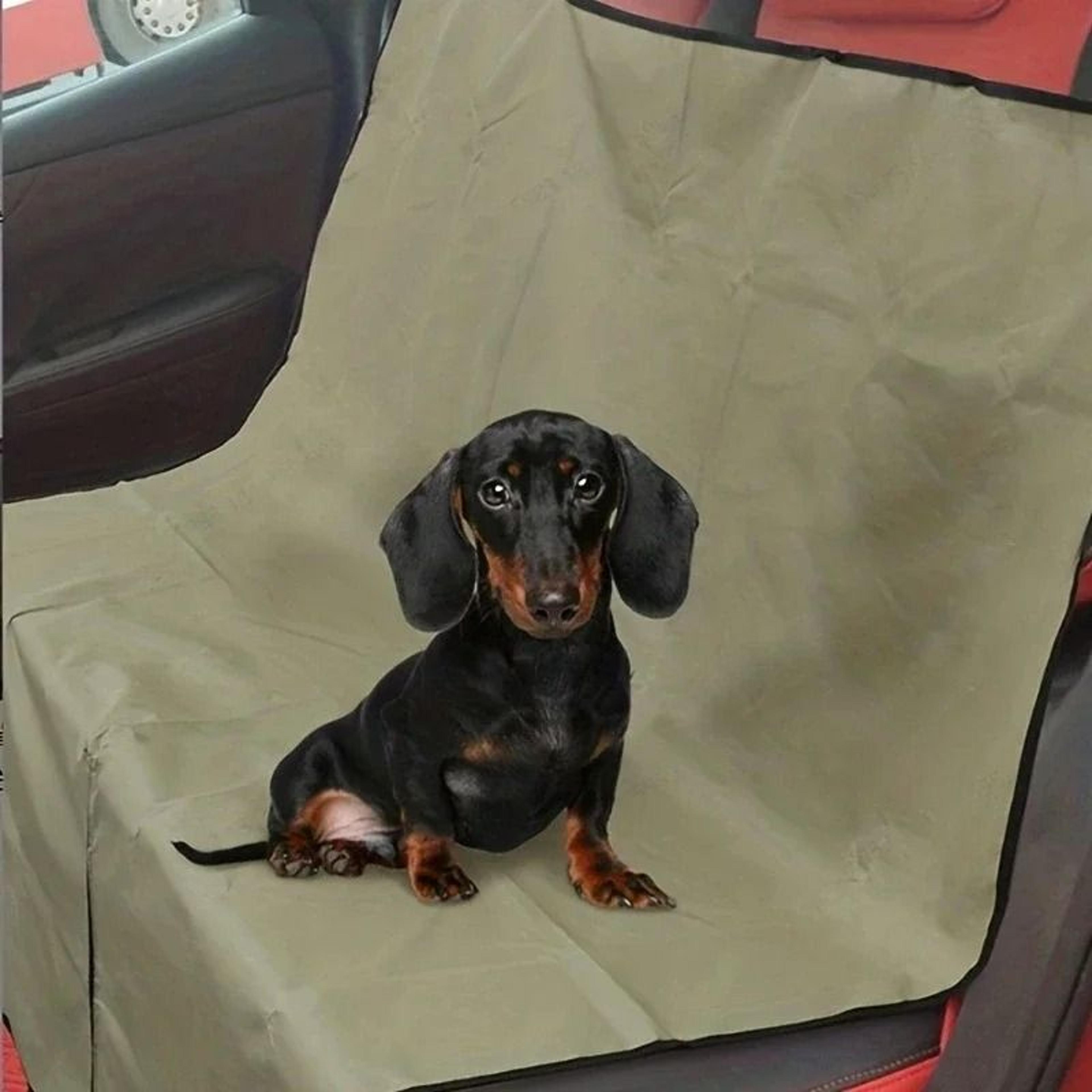 Car Trunk Pet Mat Protective Dog Blanket For Travel And Vehicle Storage 2