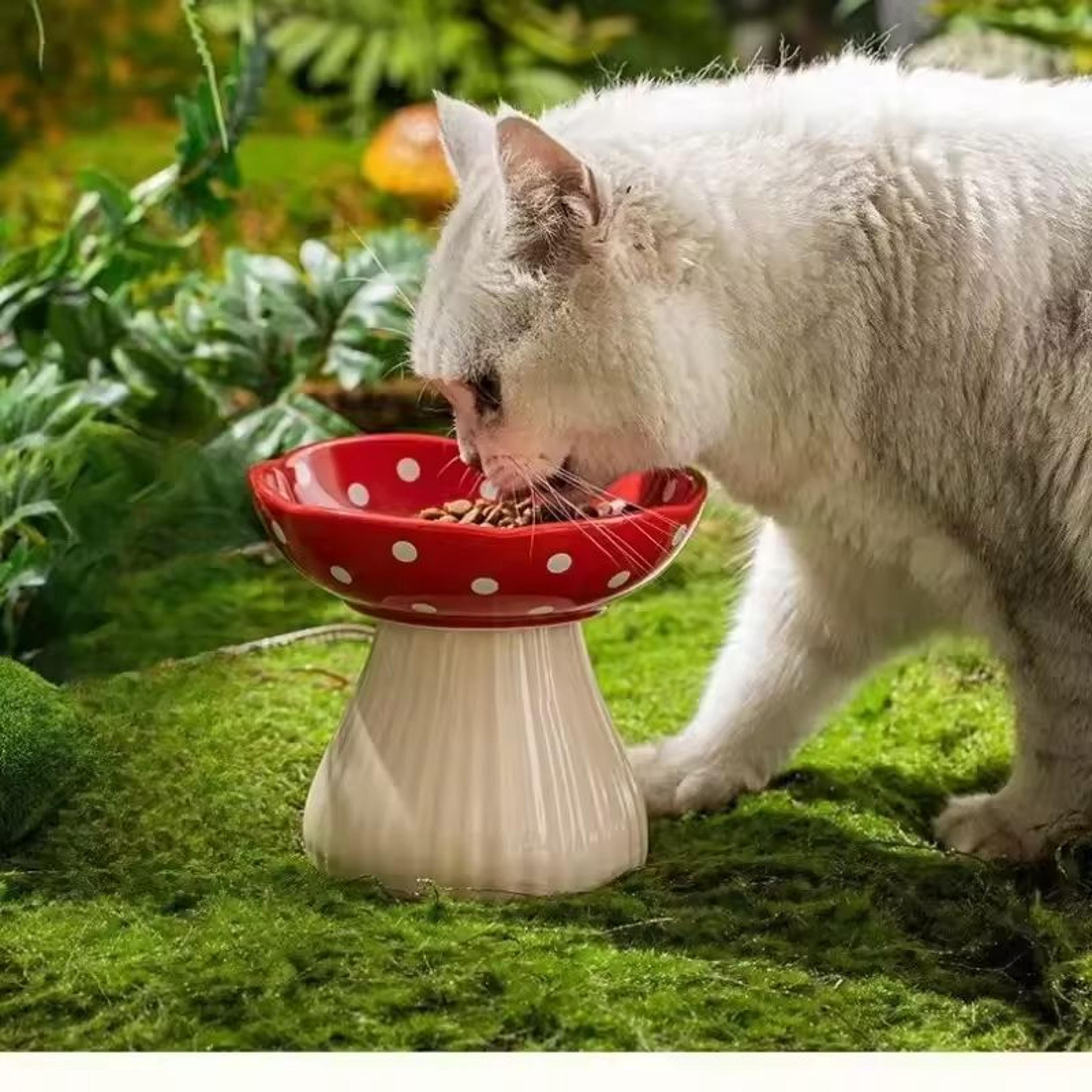 mushroom cat bowl elevated resin feeder for food or water with neck protection