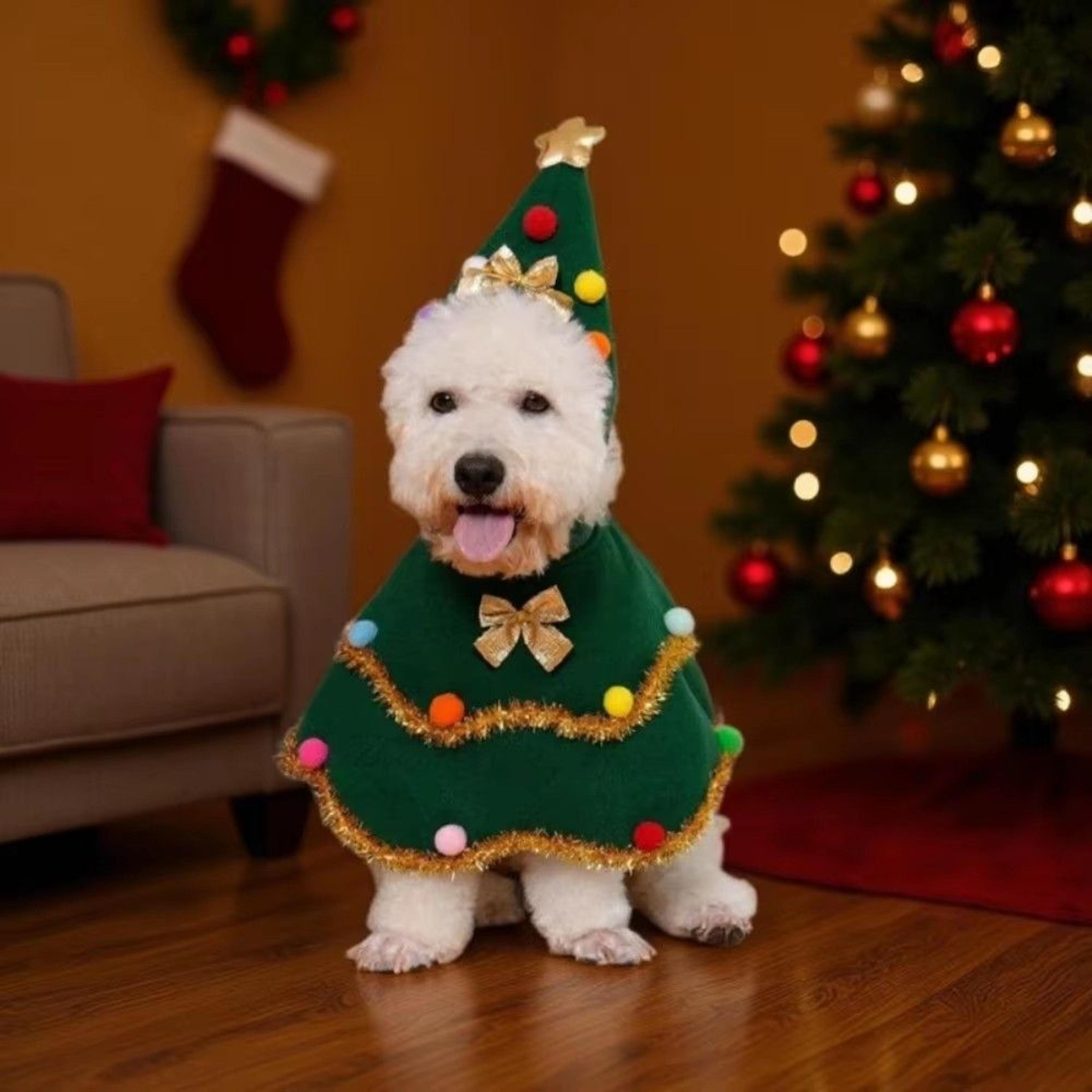 christmas dog costume cloak & hat set dog santa cloak for holiday photos