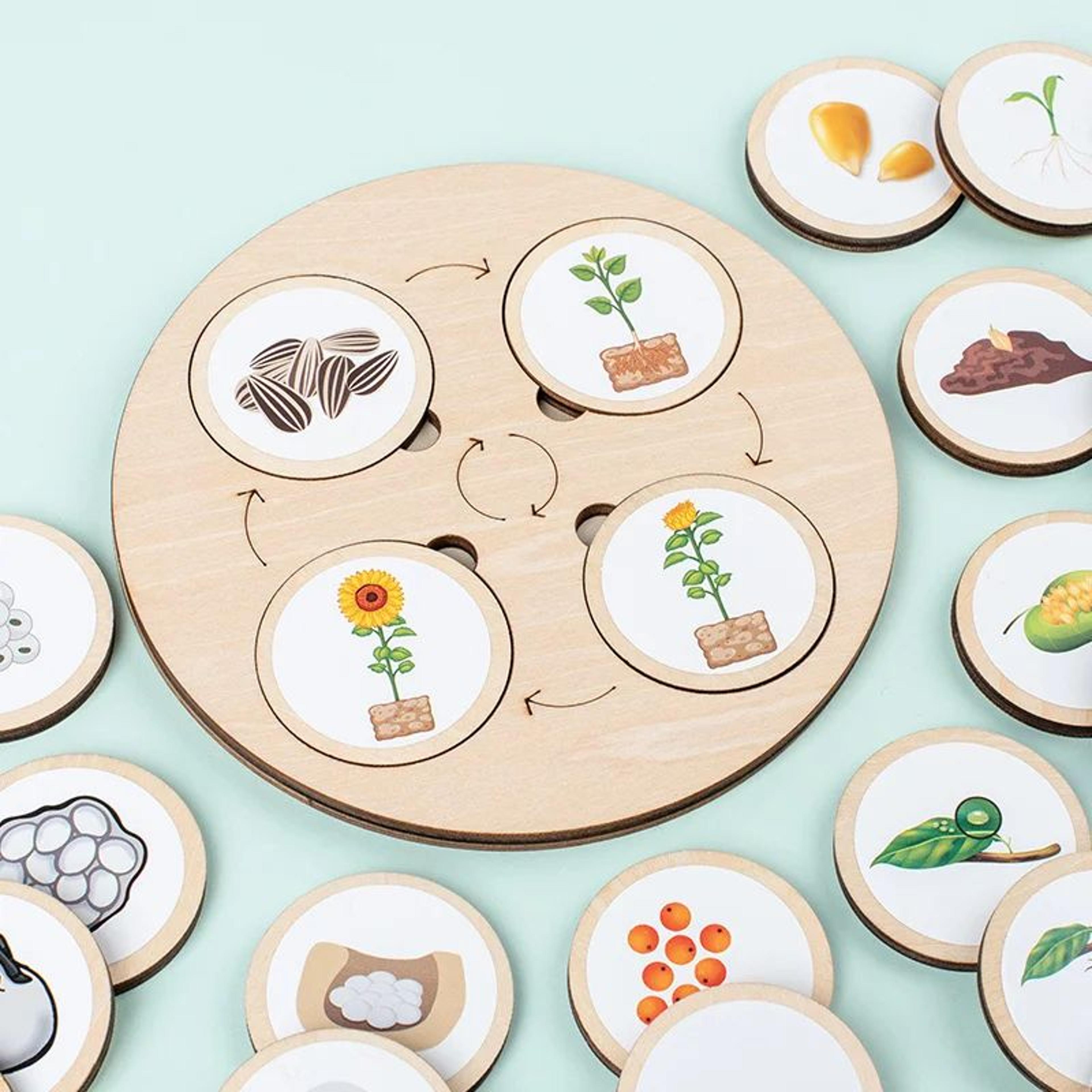 Montessori Life Cycle Board Kit  Wooden Montessori Learning Toy For Biology  Sensory Play 1