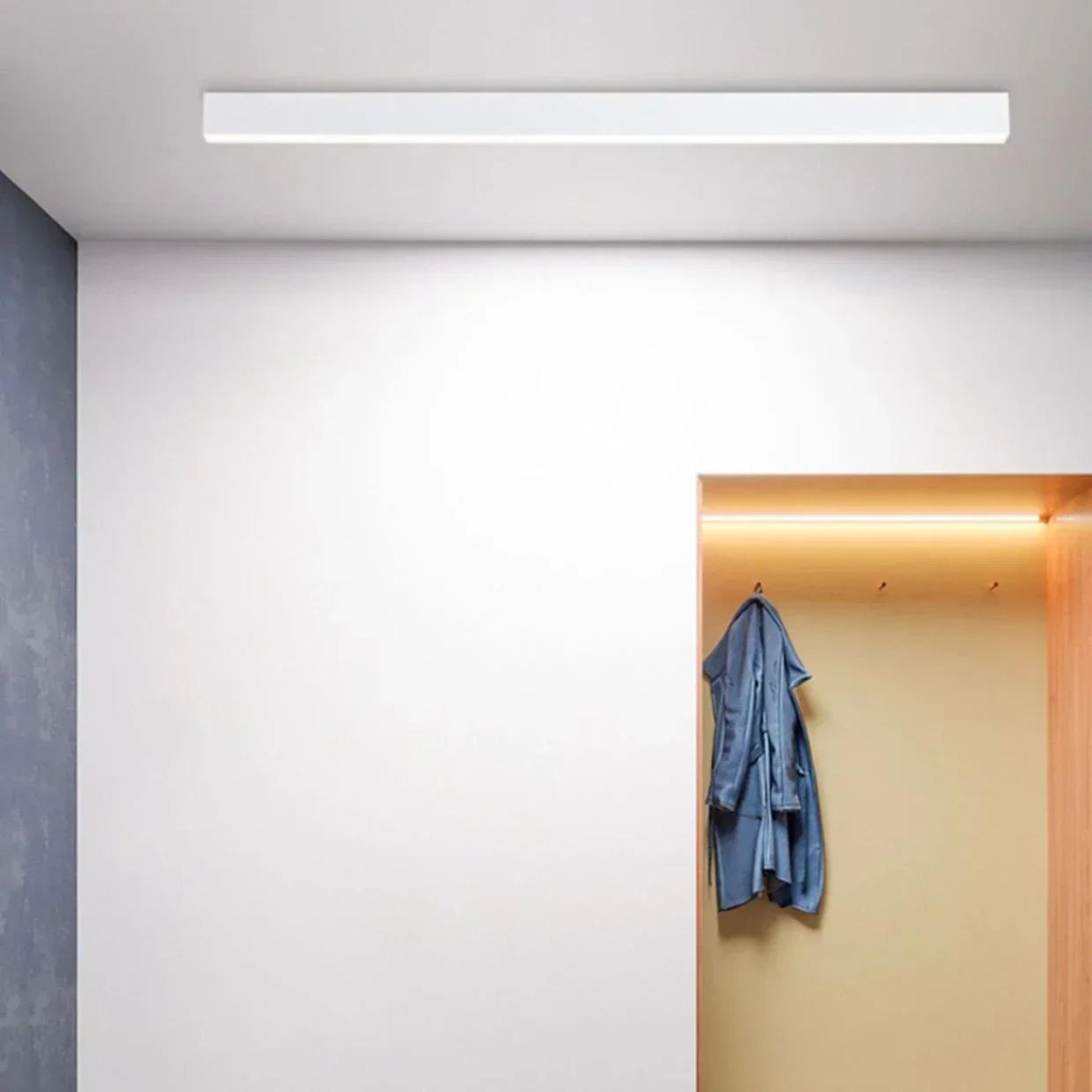 LumiLine Waterproof Outdoor Strip Wall Lamp  Modern Long LED Entrance Light 4