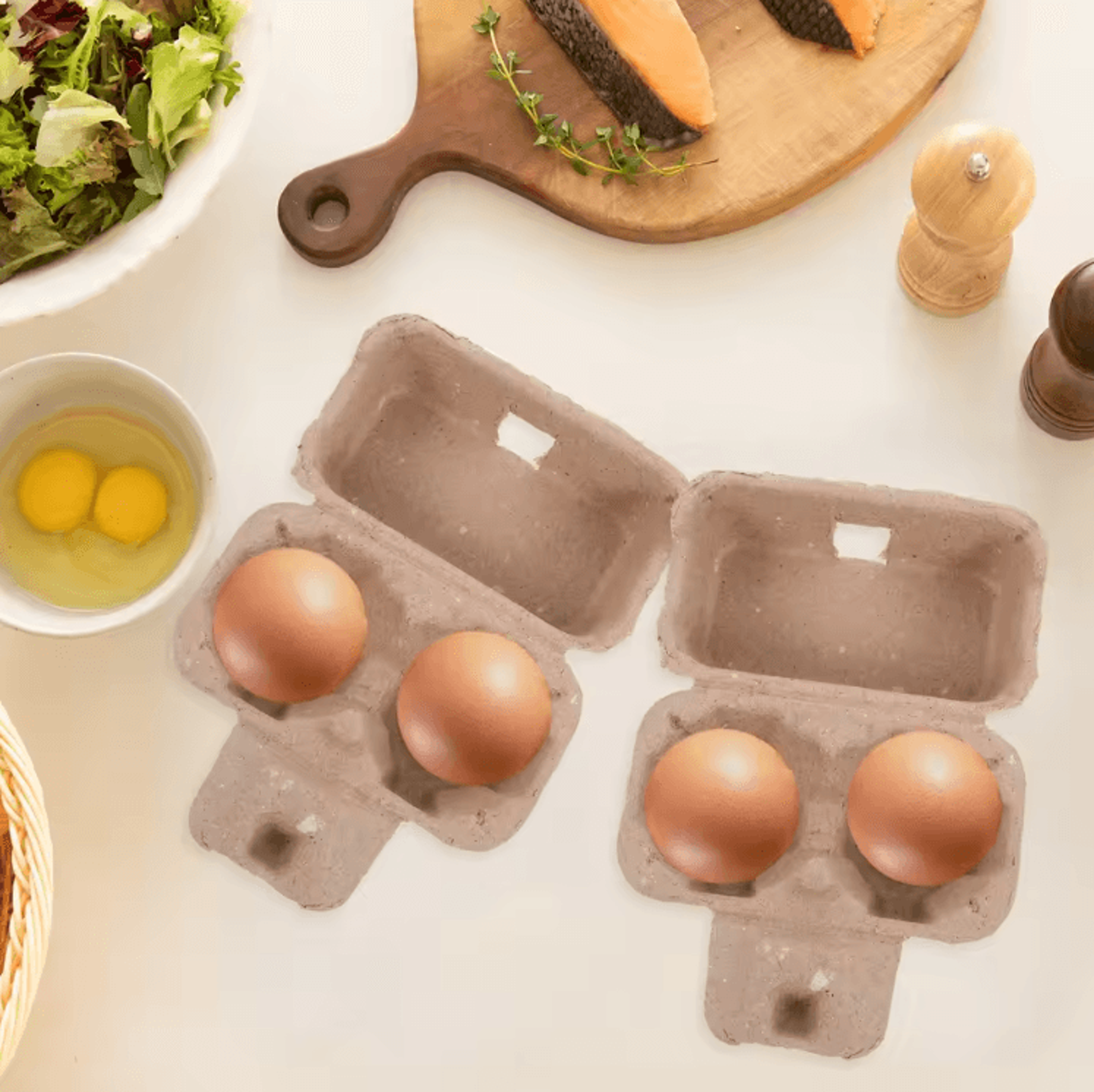 EcoPack 12 Cell Paper Pulp Egg Carton Tray Bulk Egg Storage Holder 1