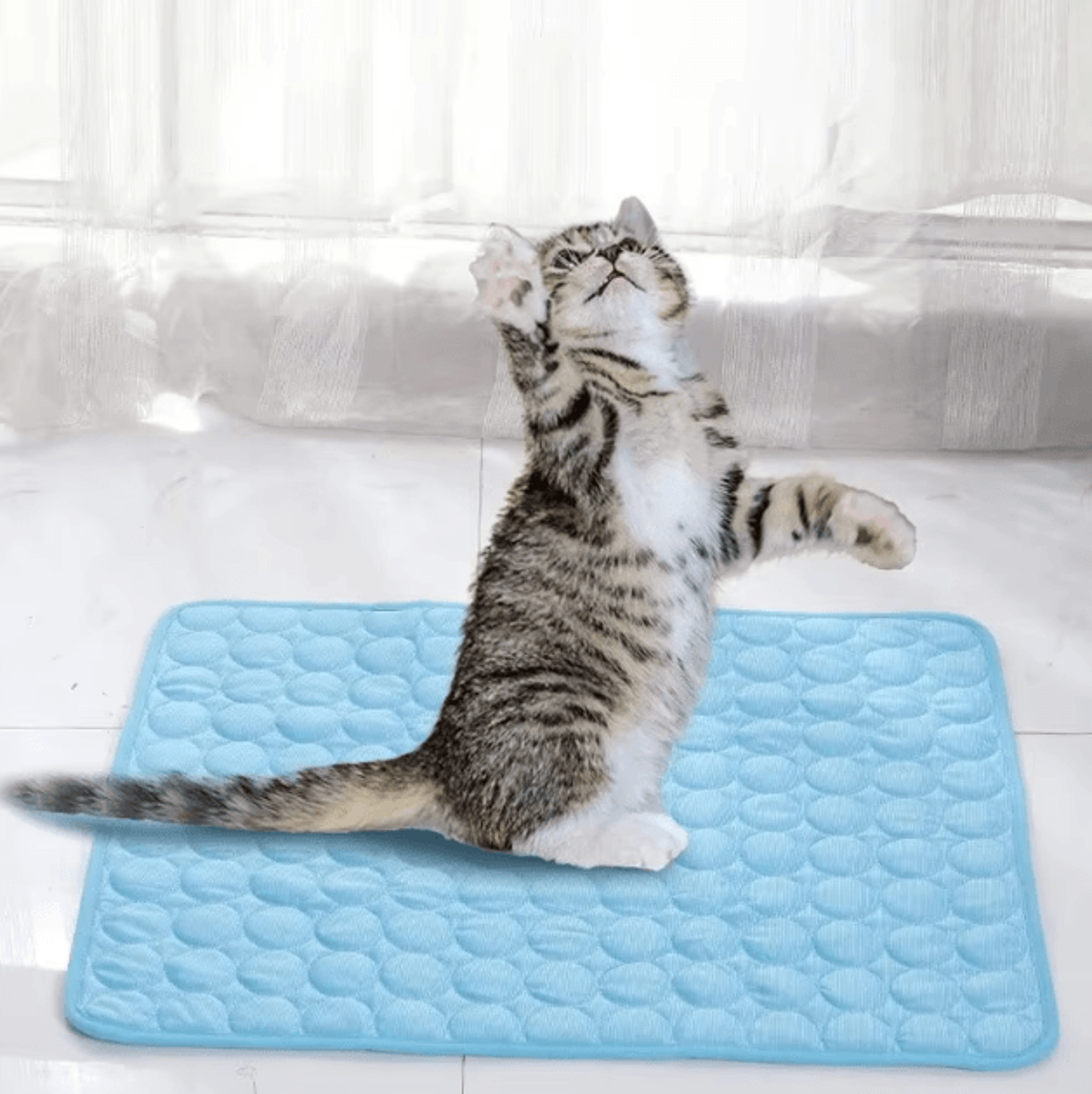 coolnest summer pet cooling mat for cats & dogs (breathable sofa pad)
