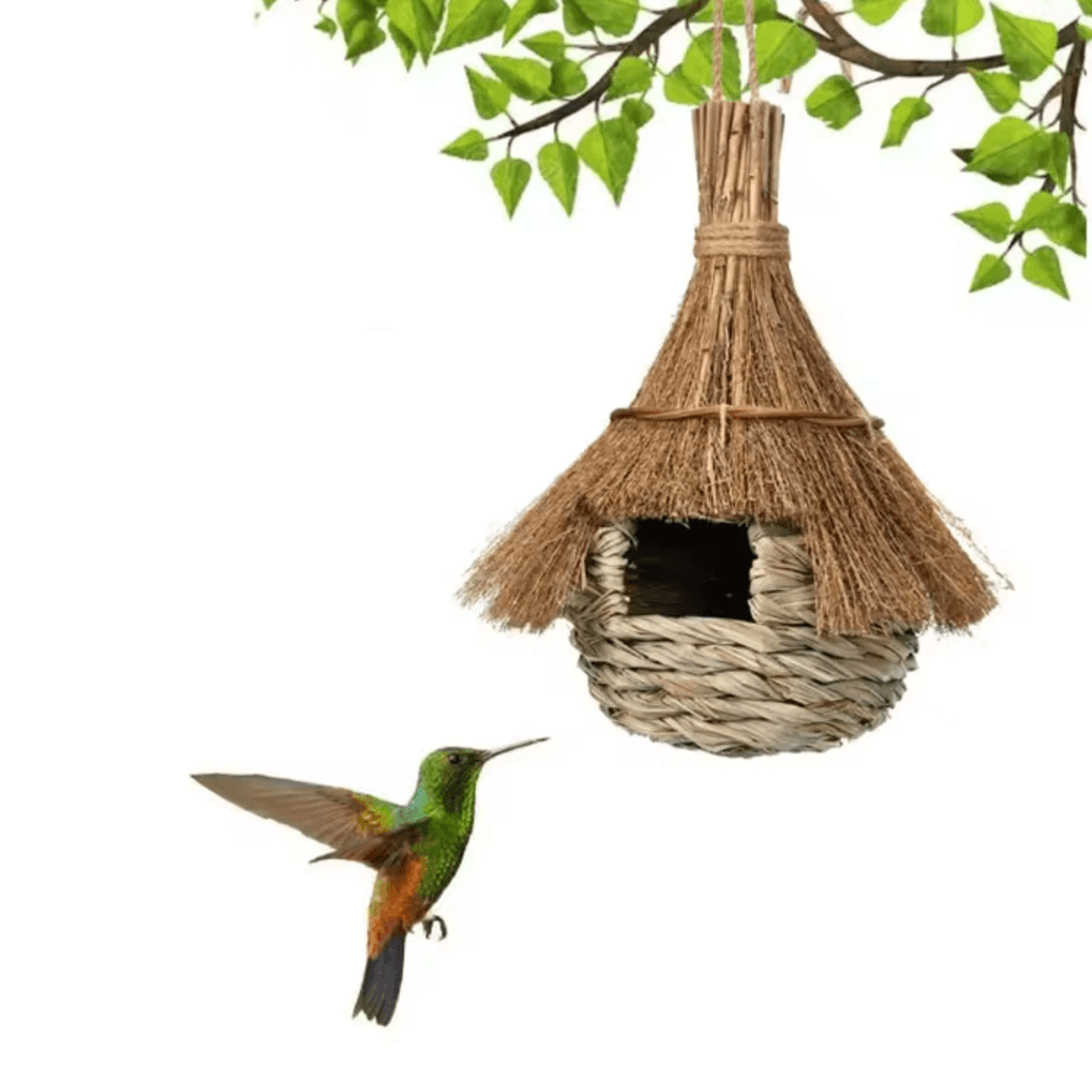Handwoven Grass Bird House  Hanging EcoFriendly Cozy Bird Nest Shelter 2