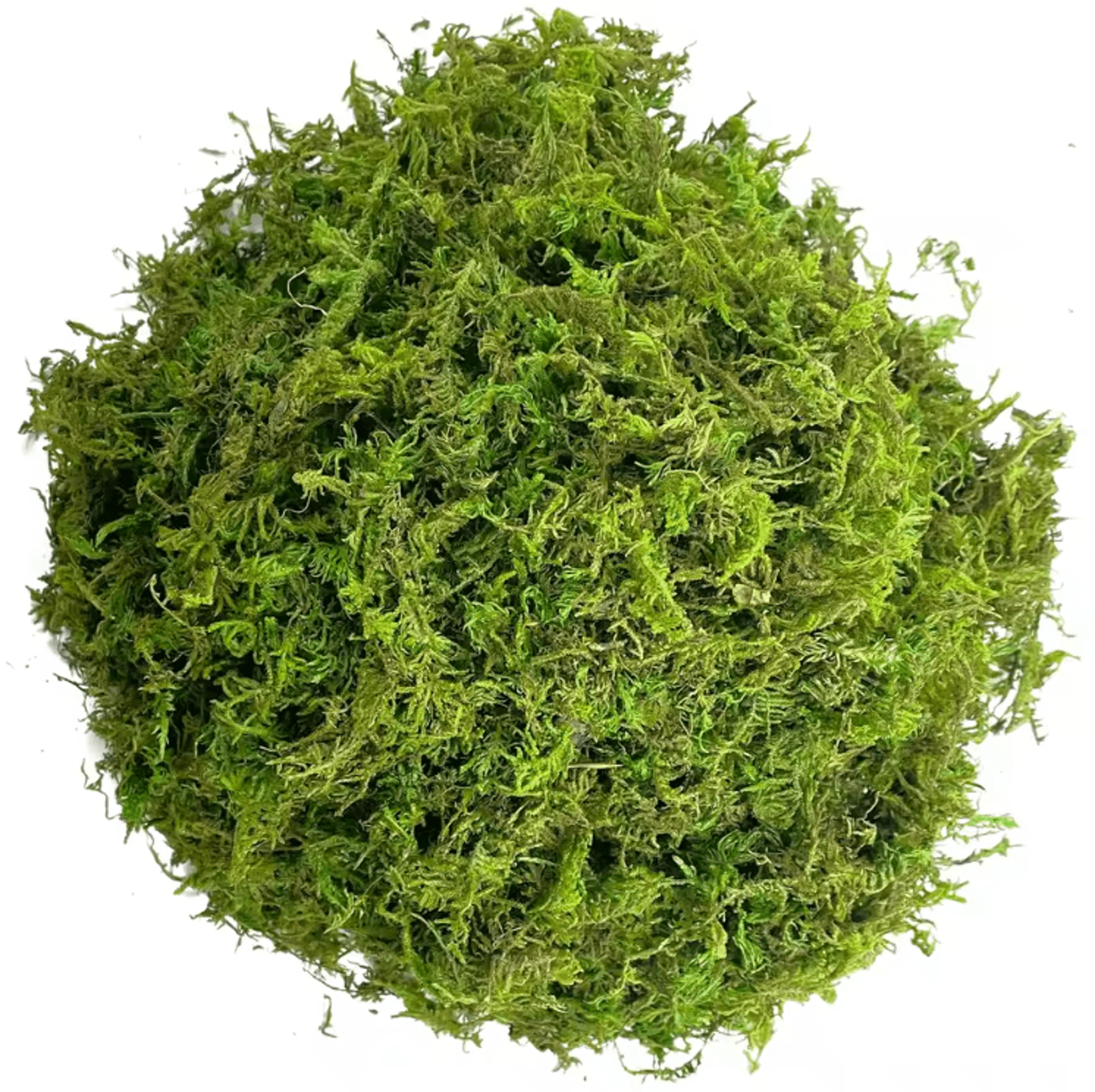 Artificial Green Moss For Potted Plants  Decorative Faux Moss For Orchids  DIY Plant Styling 3