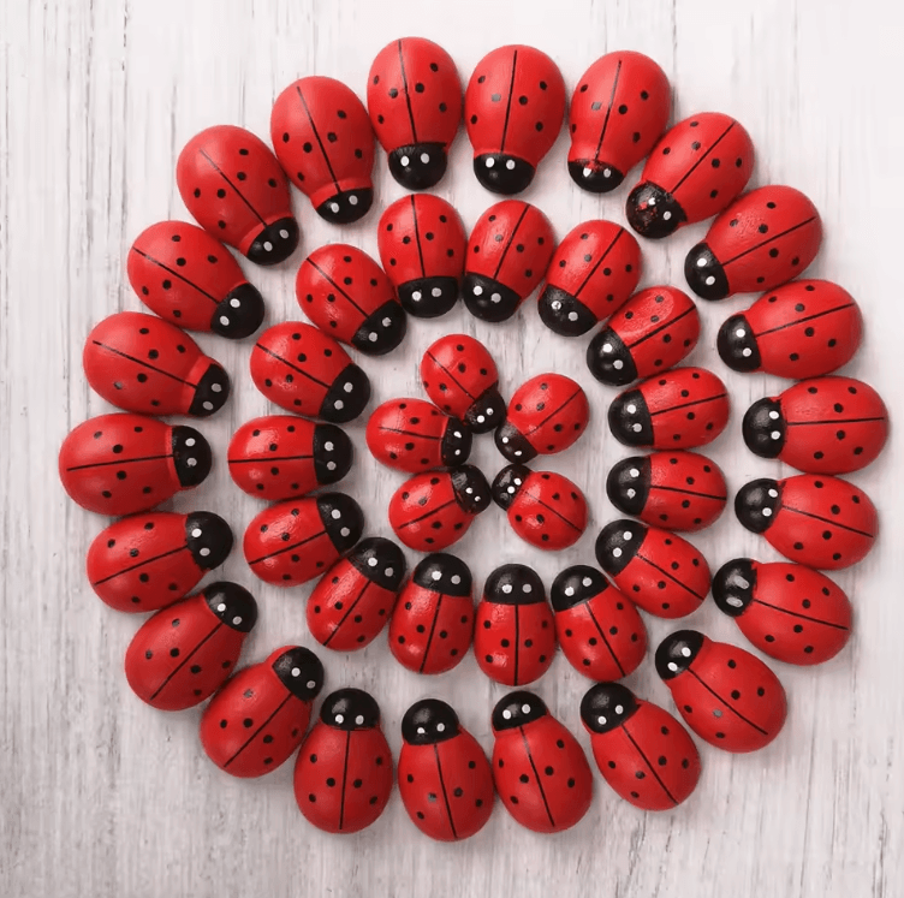 Mini Wooden Ladybug Decor Cute Fairy Garden DIY Craft Accessories 1