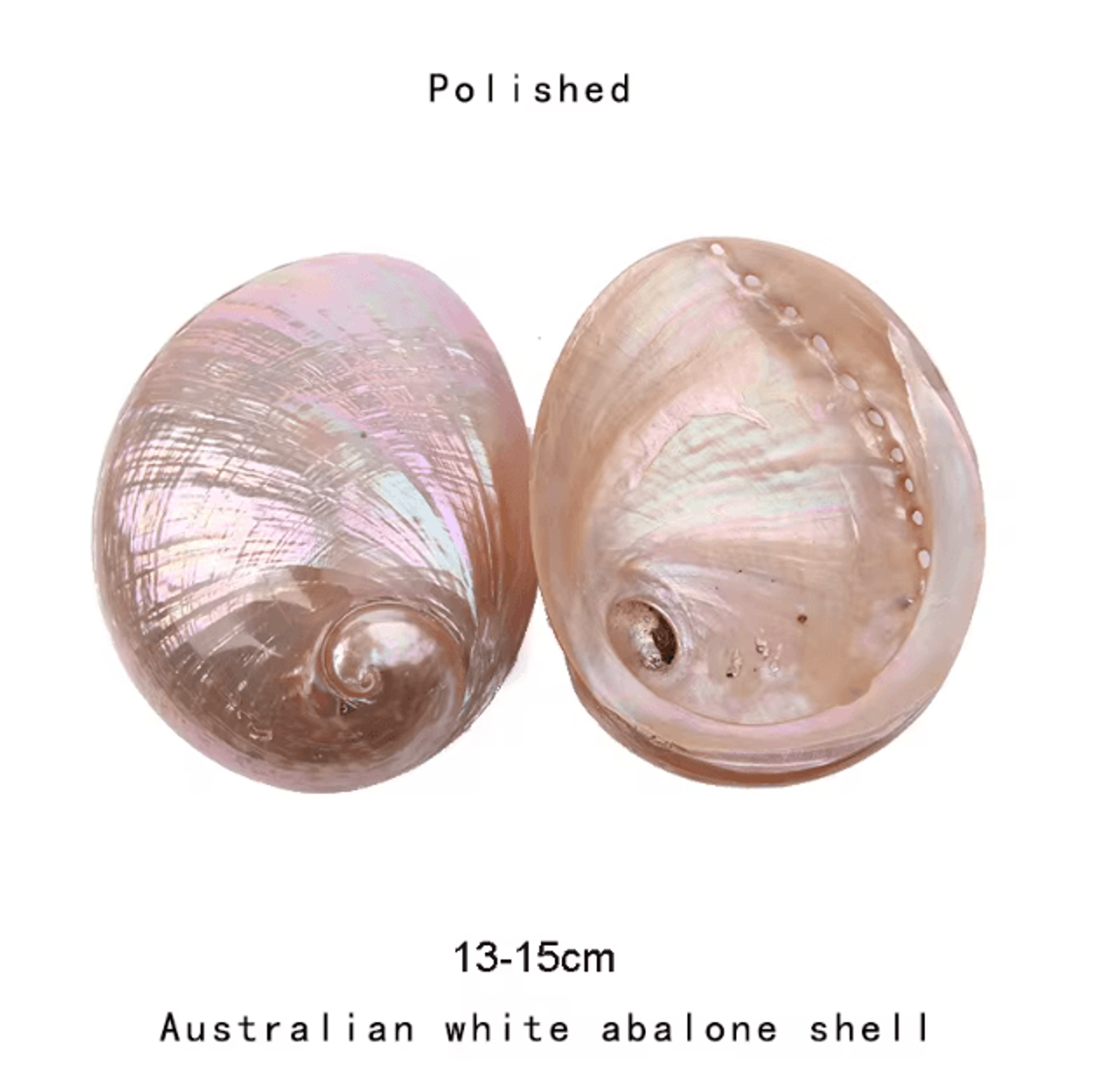 Paua Abalone Shell Sage Smudge Kit With Stand  Natural Energy Cleansing  Spiritual Home Decor 3