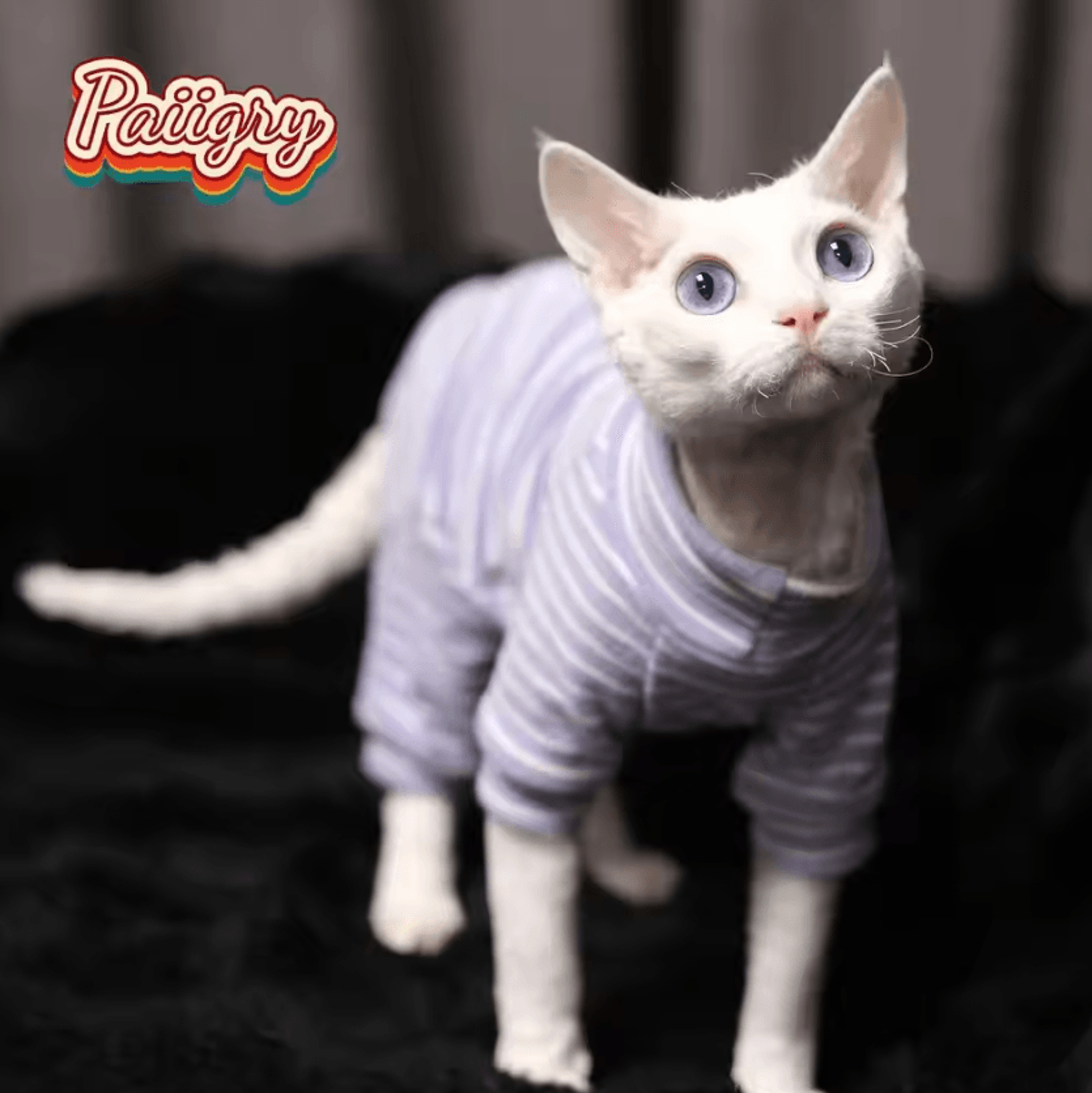 StretchFit Sphynx Cat Pajamas Warm FourLegged Pet Clothes 4