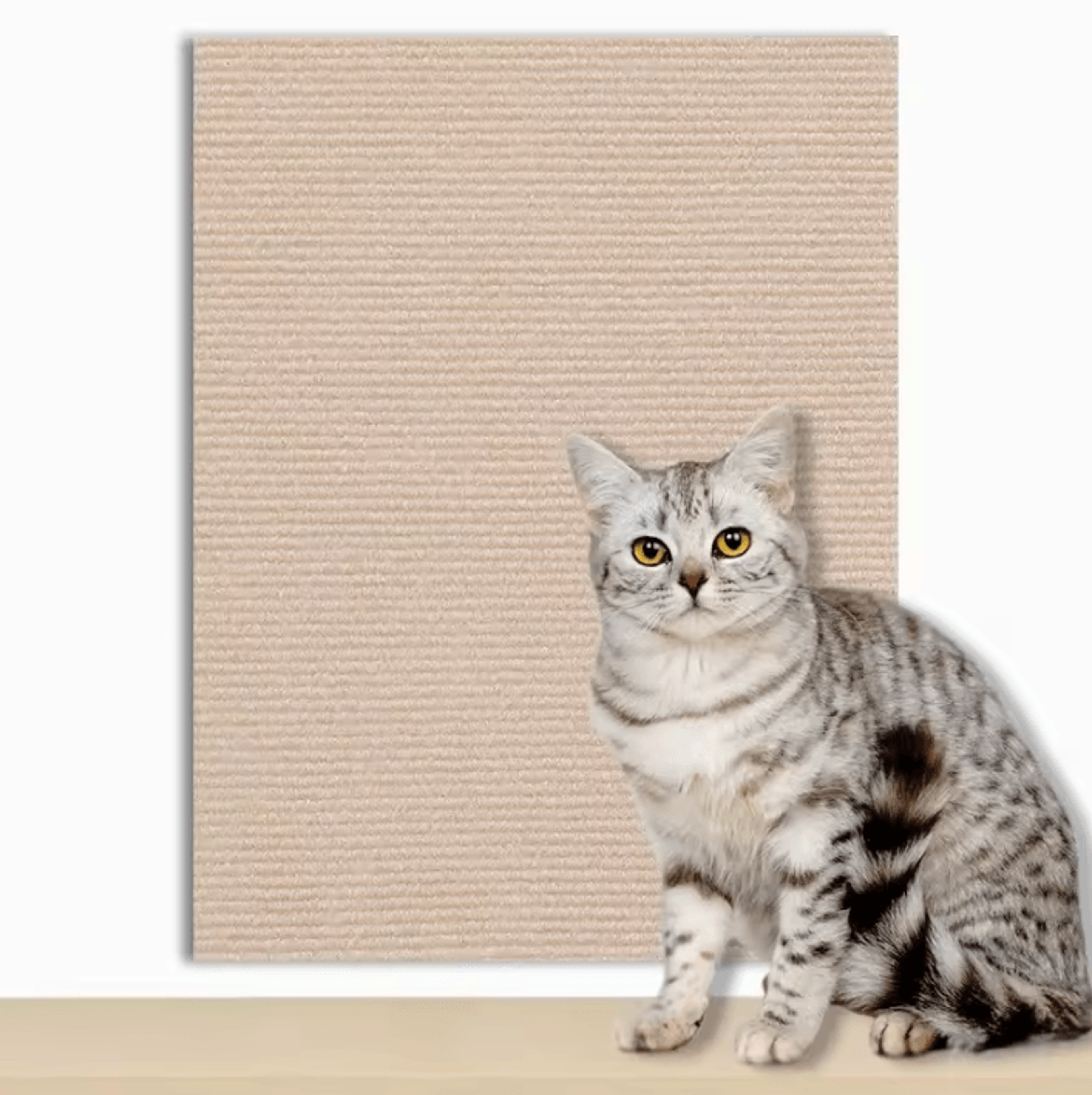 ScratchGuard DIY Cat Scratch Mat For Sofa  Wall Protection 6