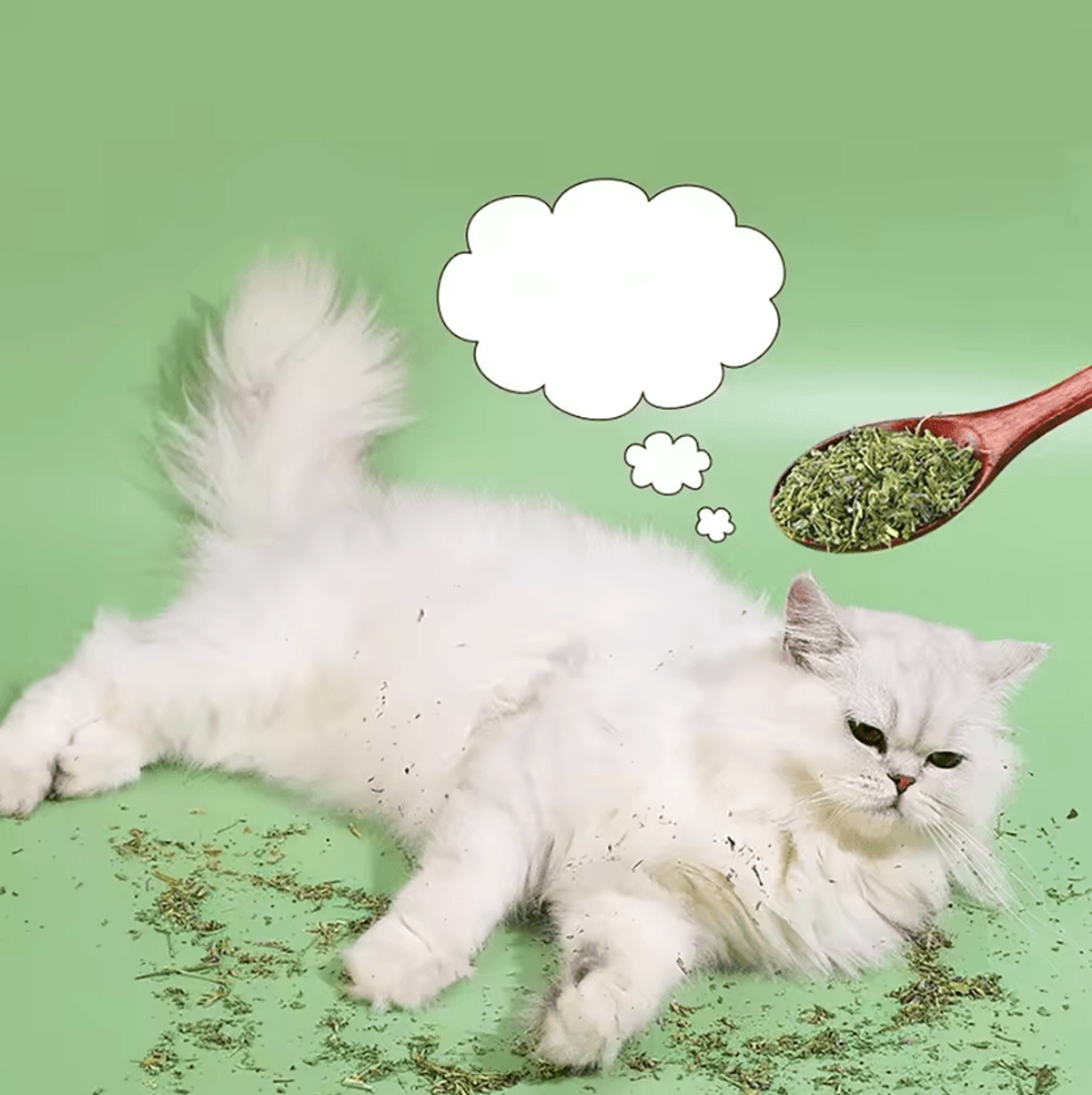 PurePurr Organic Natural Catnip  Cat Grass Interactive Cat Toy 4