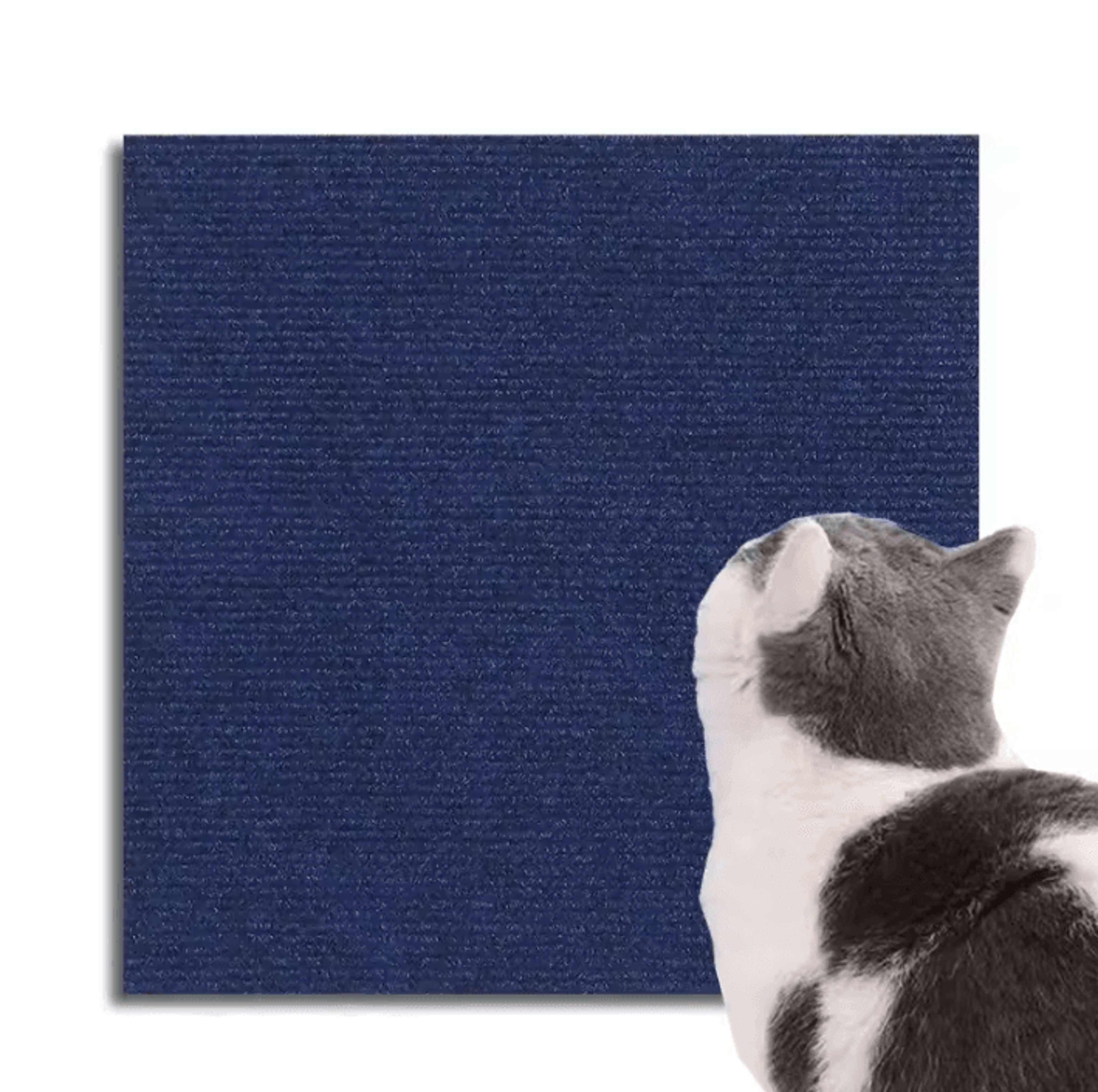 SelfAdhesive Cat Scratching Mat  Trimmable Furniture Protector  DIY Scratcher Carpet 3