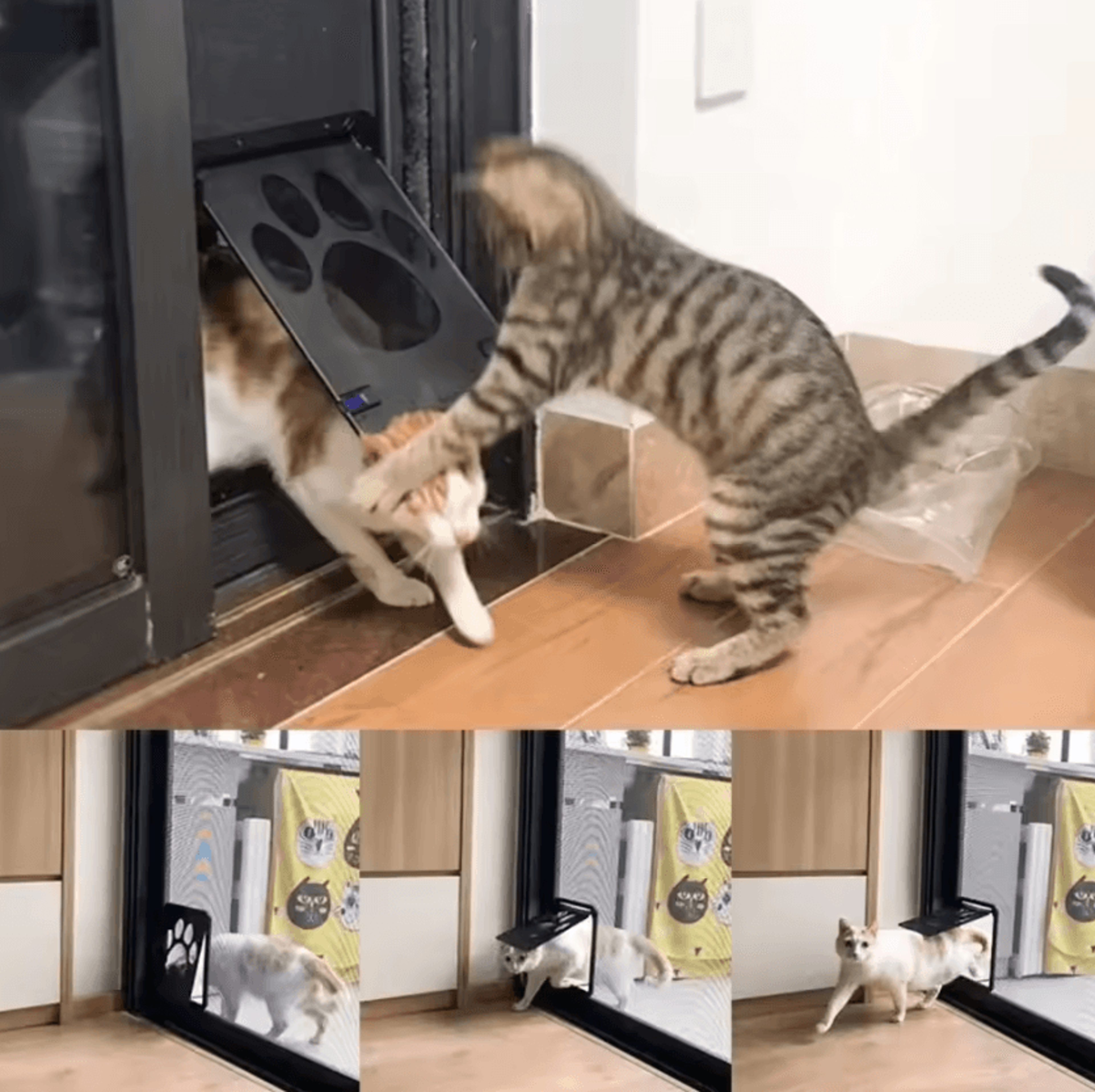 Lockable Magnetic Pet Screen Door For Cats  Small Dogs 3