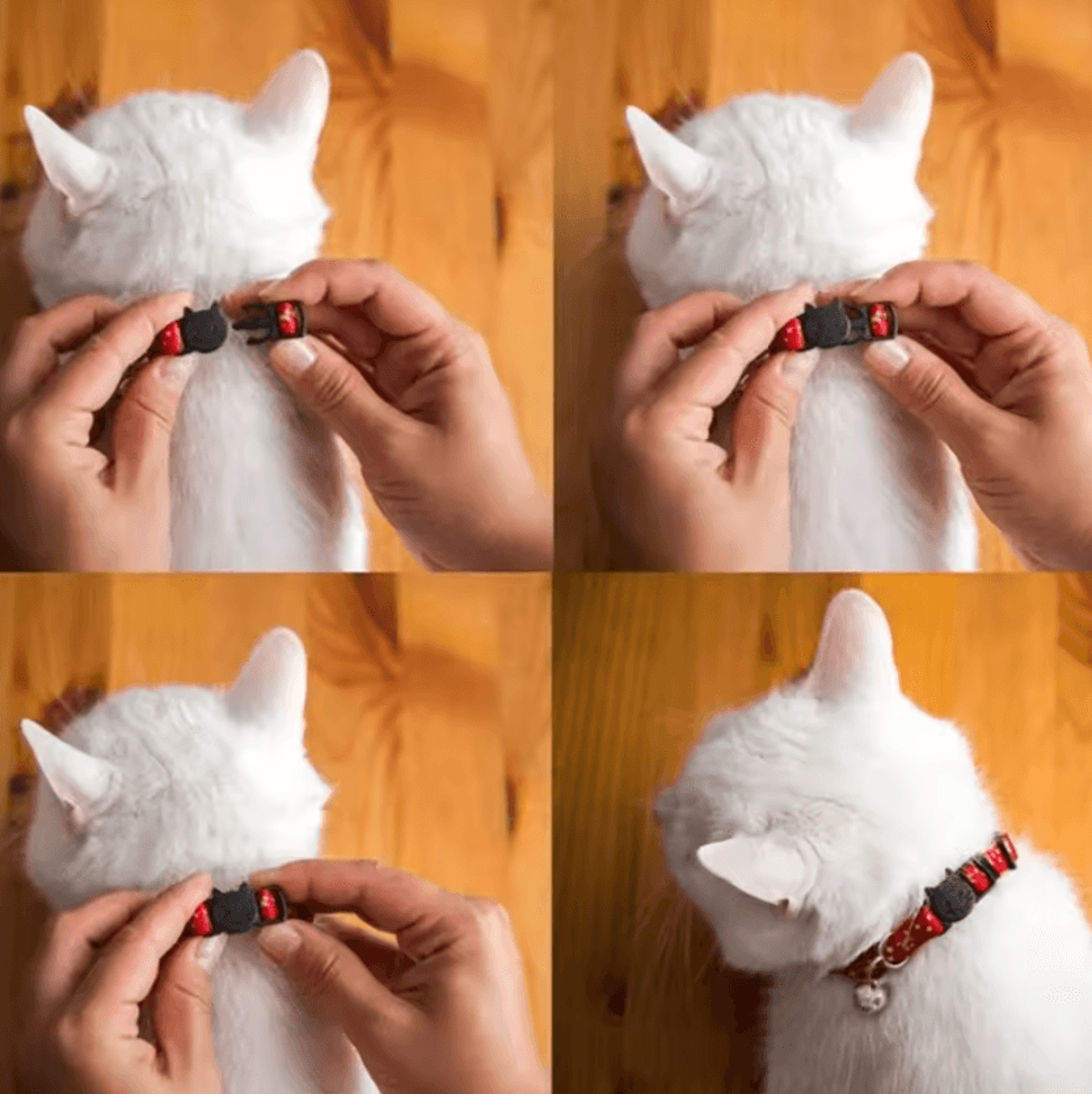 Personalized Reflective Star  Moon Cat Collar With Engraved ID Tag 2