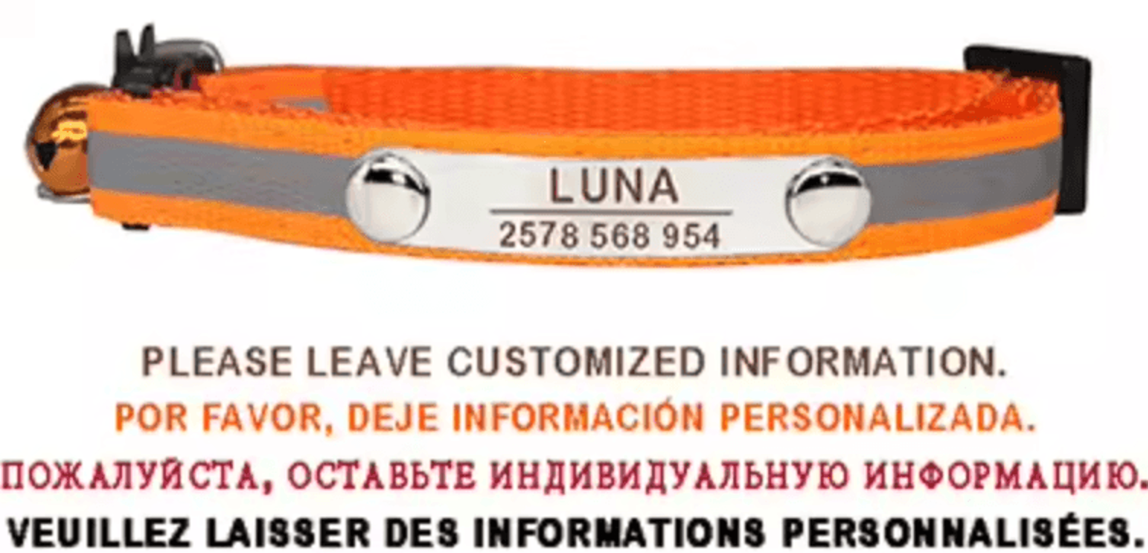 SafeGlow Personalized Reflective Cat Collar 3