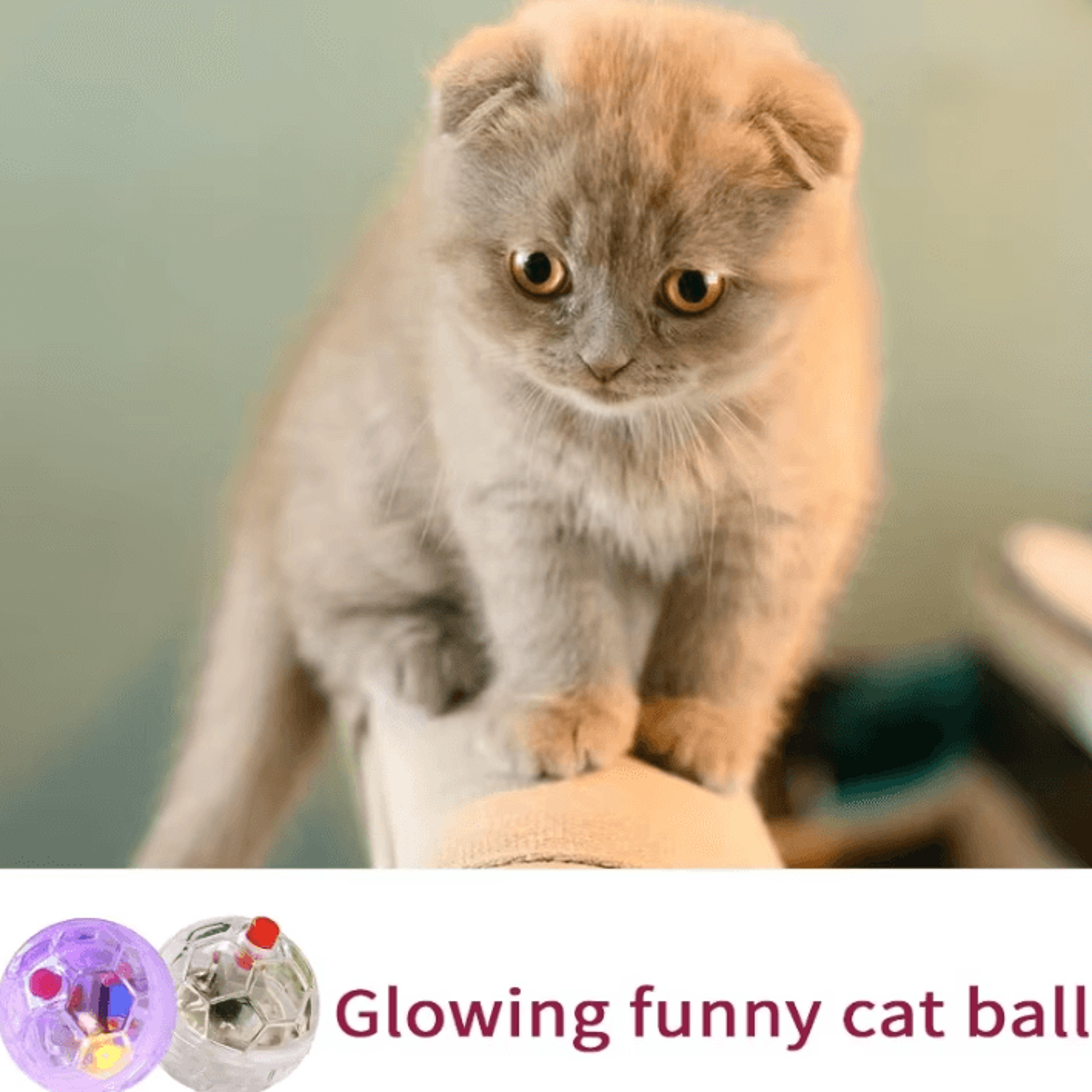 LumiPounce Interactive LED Glowing Ball For Cats  Puppies 2