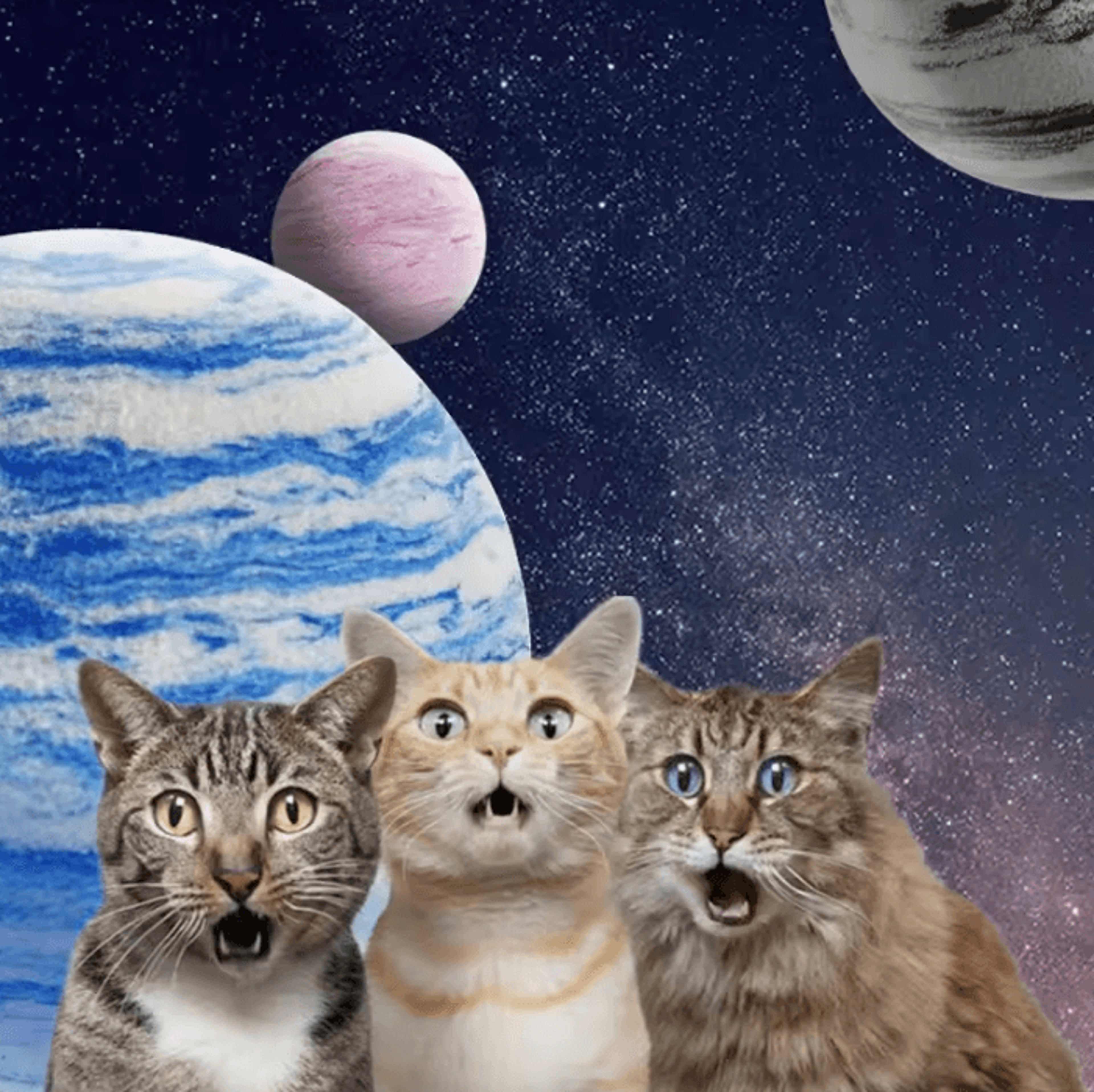 GalaxyBounce EVA Planet Texture Cat Toy Ball 1