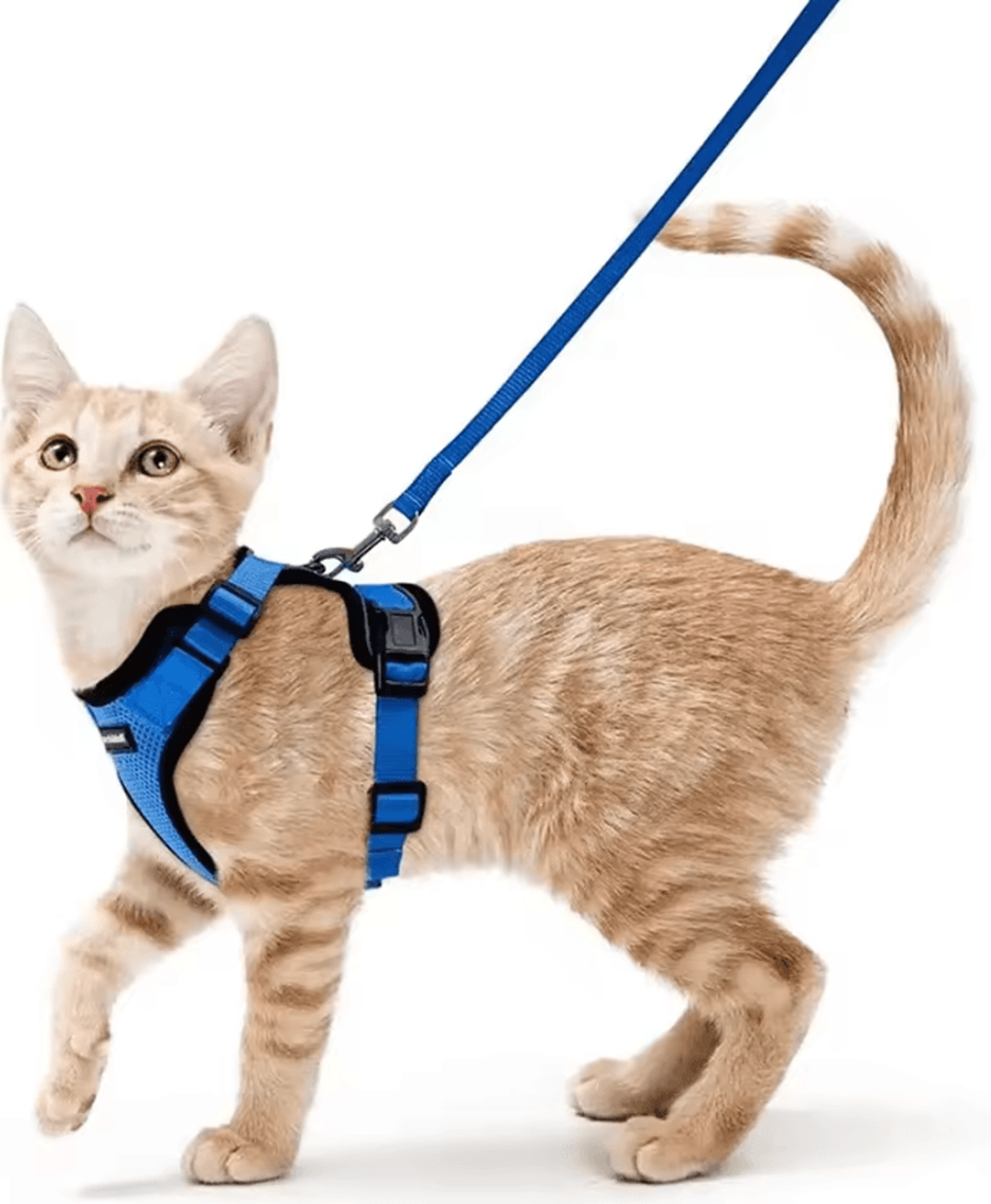 ATUBAN EscapeGuard Reflective Cat Harness  Leash Set 10