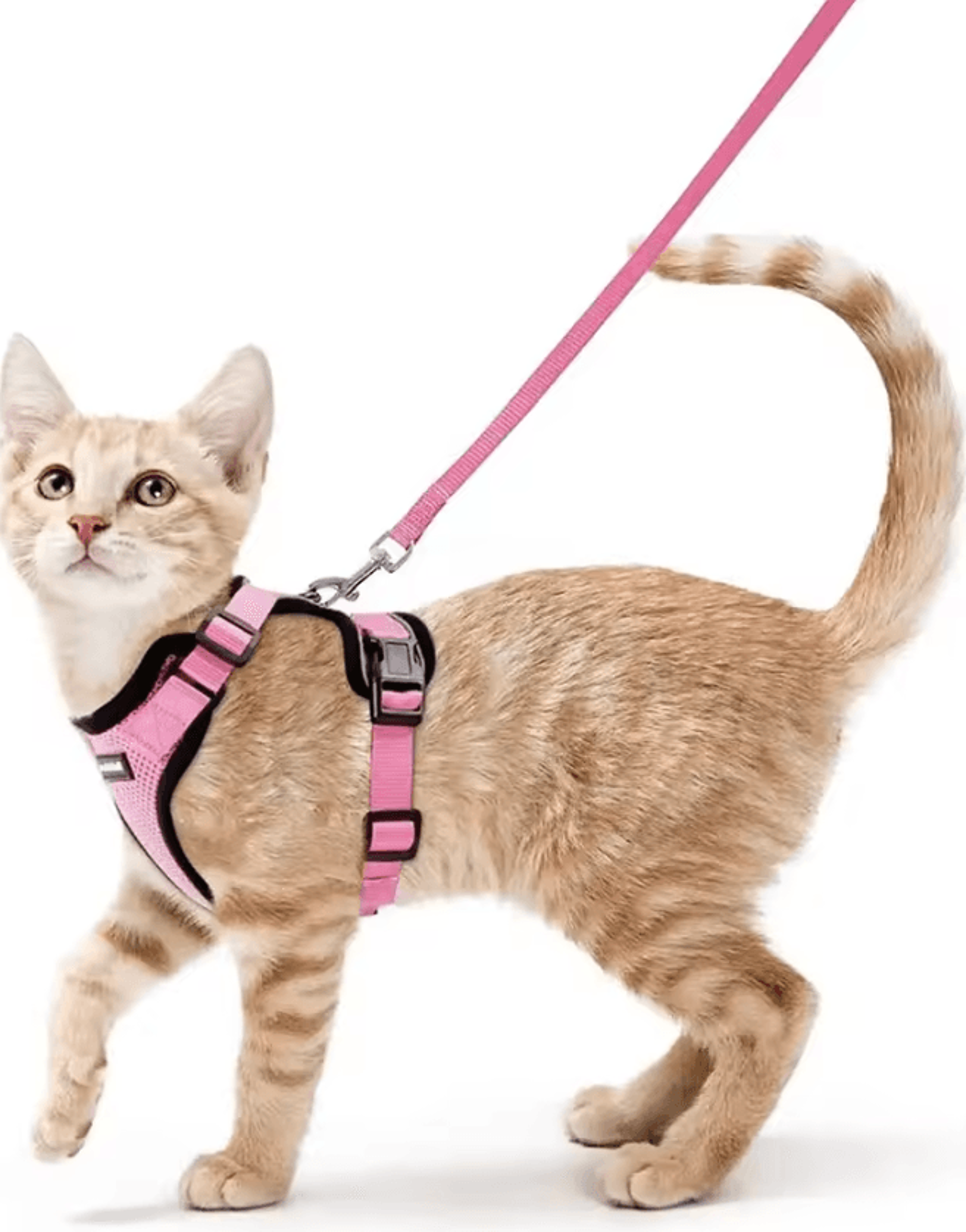 ATUBAN EscapeGuard Reflective Cat Harness  Leash Set 11