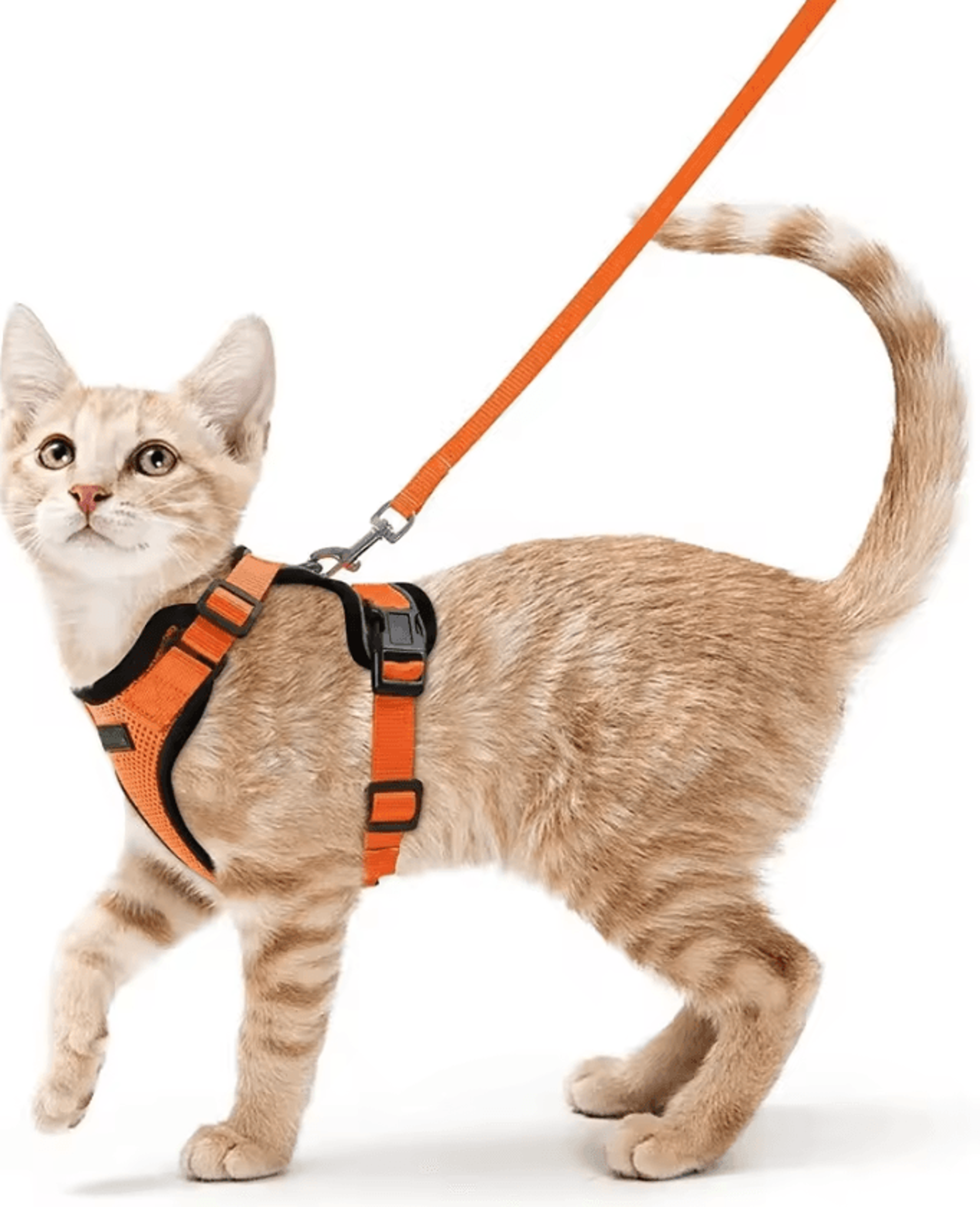 ATUBAN EscapeGuard Reflective Cat Harness  Leash Set 5