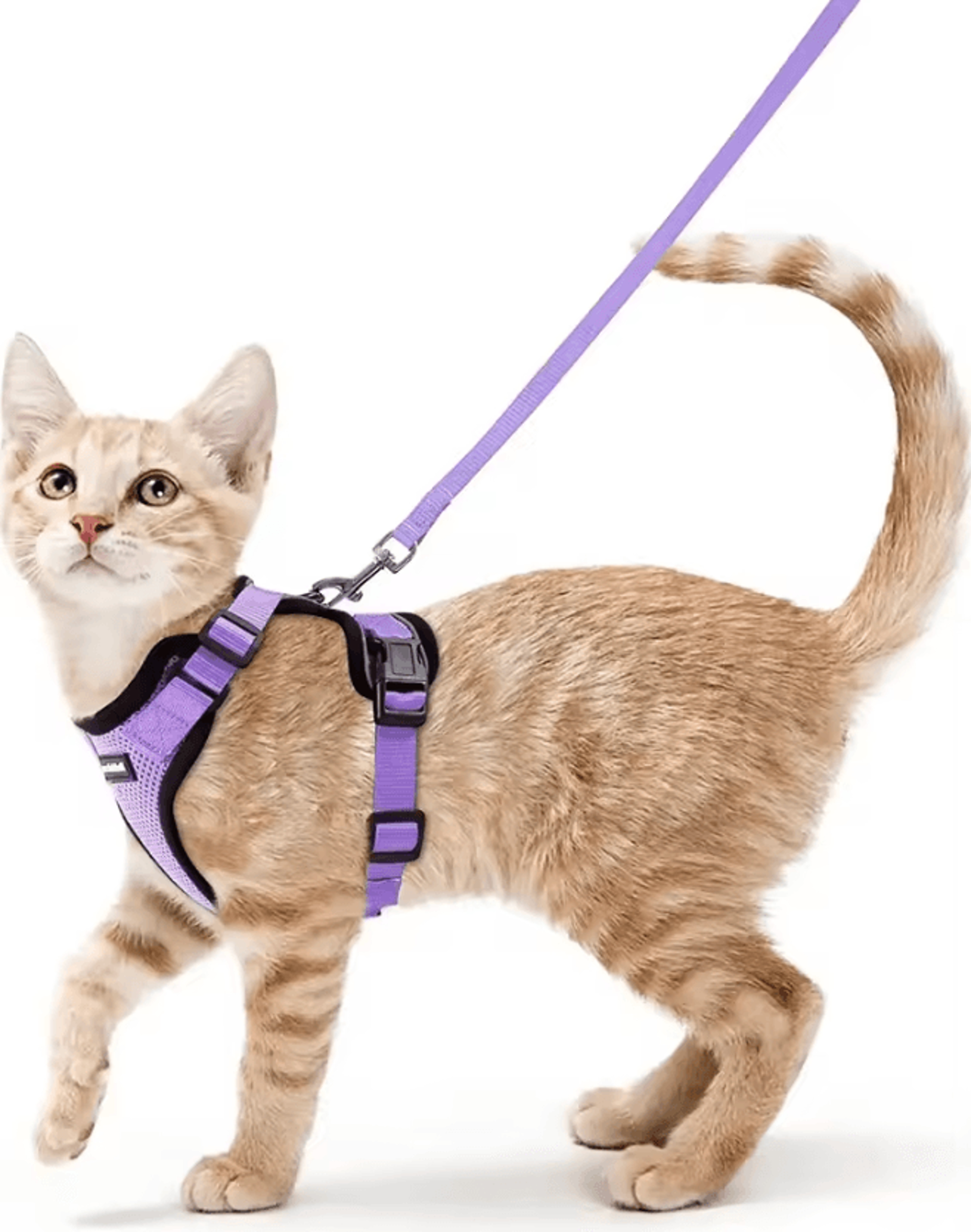 ATUBAN EscapeGuard Reflective Cat Harness  Leash Set 6