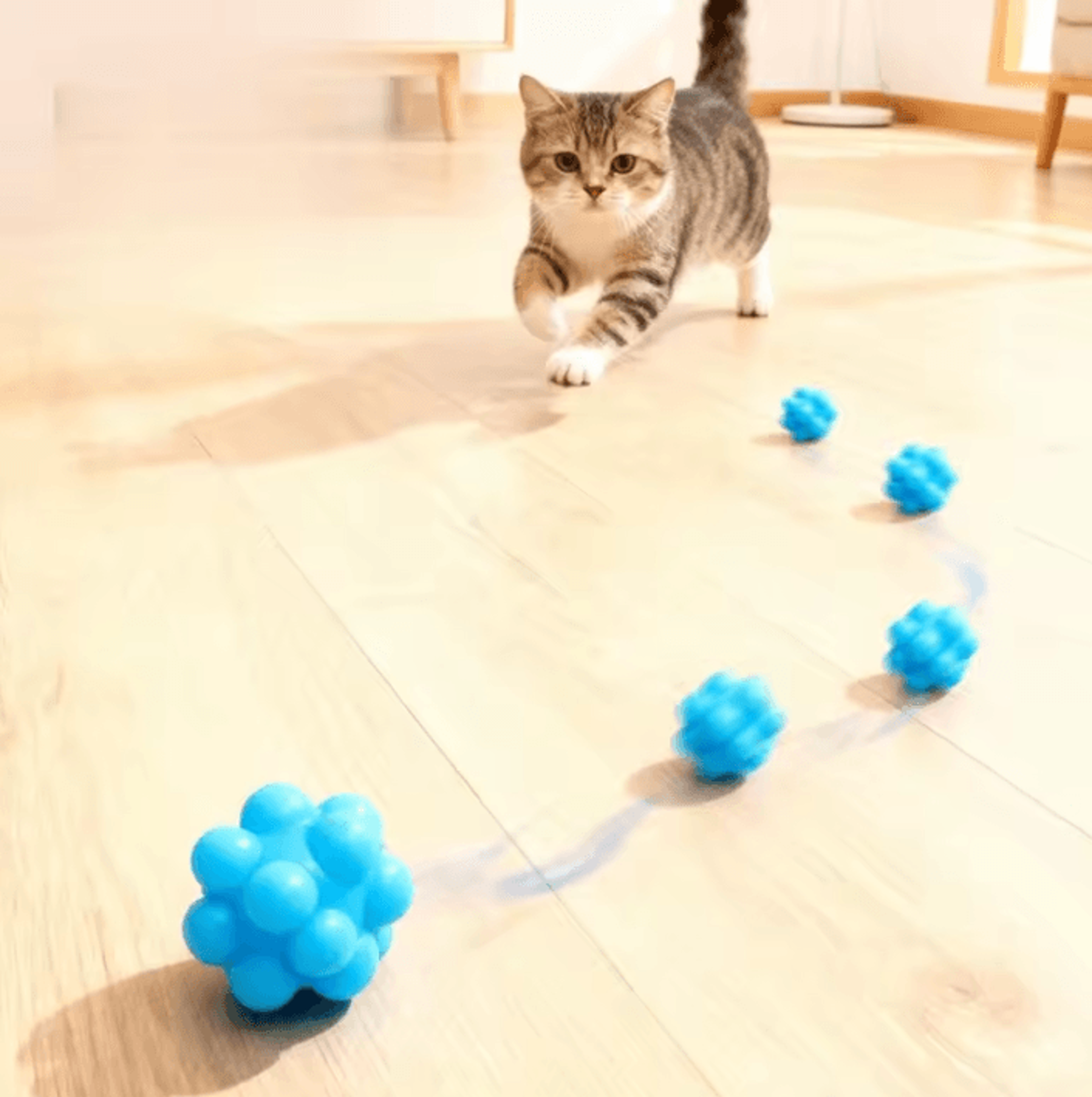 BounceBite Interactive Cat Chew Ball Toy 2
