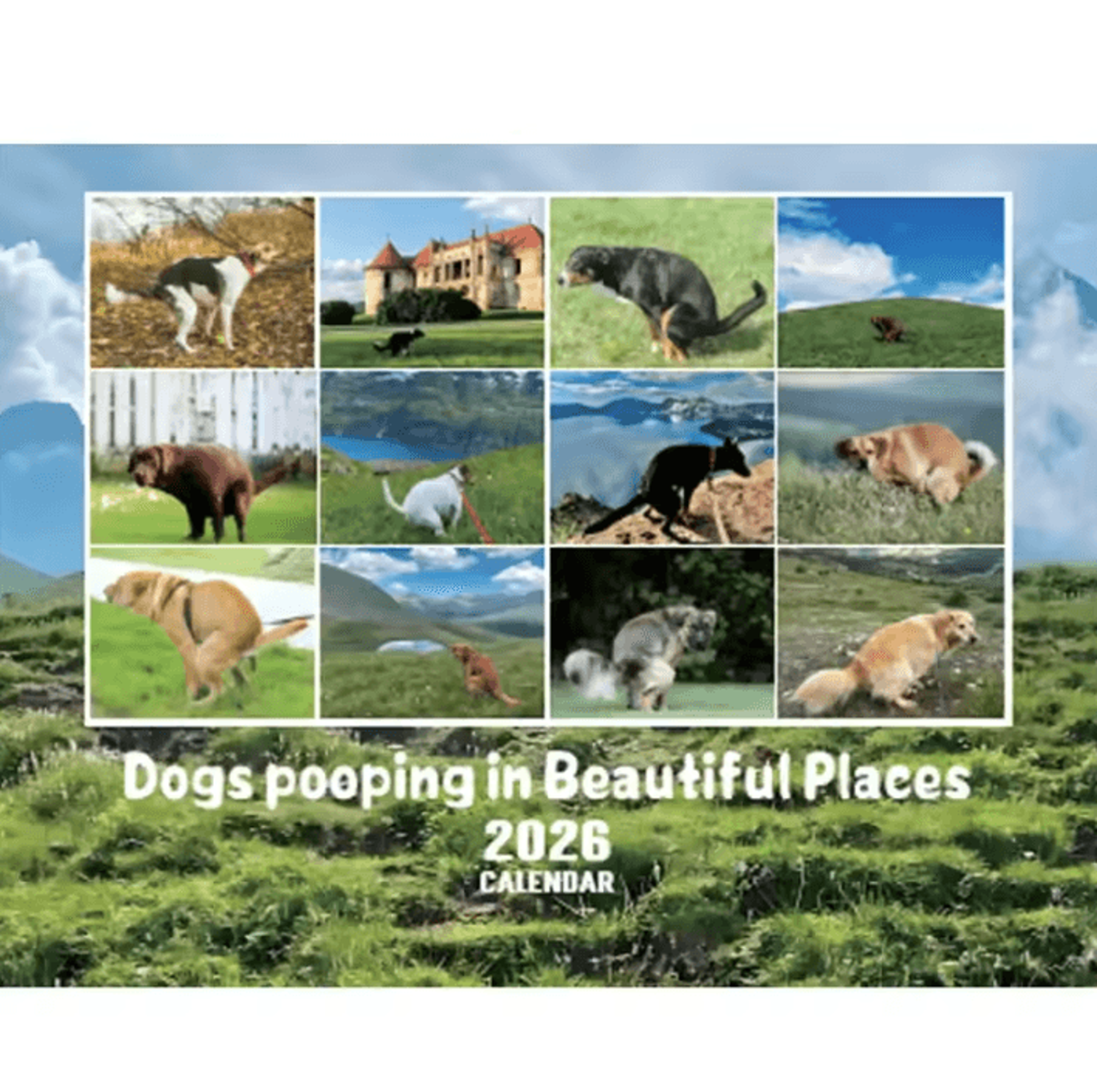 2026 Funny Pooping Dog Wall Calendar Monthly Planner  Organizer 4