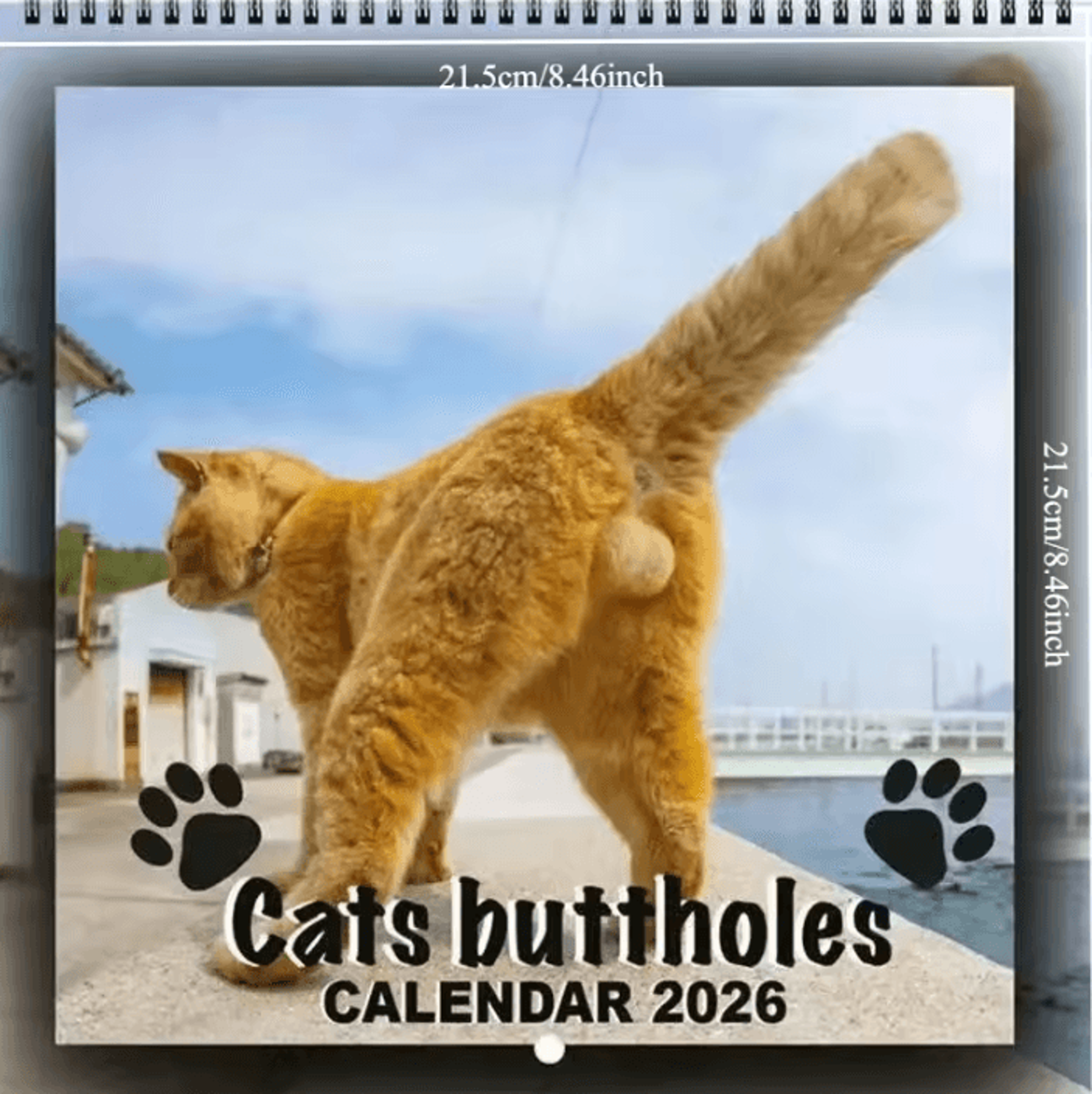 2026 Funny Pooping Dog Wall Calendar Monthly Planner  Organizer 5