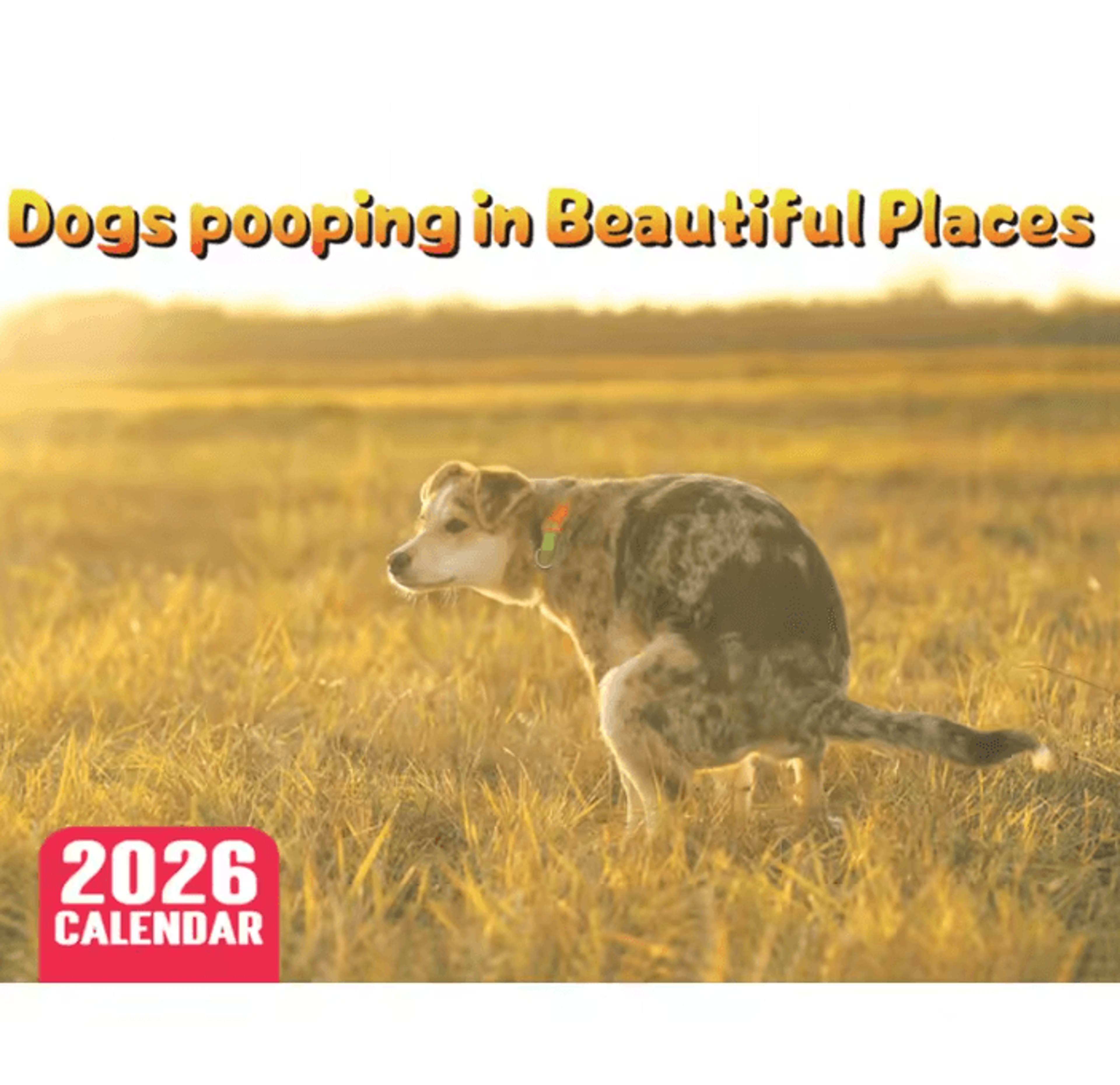 2026 Funny Pooping Dog Wall Calendar Monthly Planner  Organizer 6
